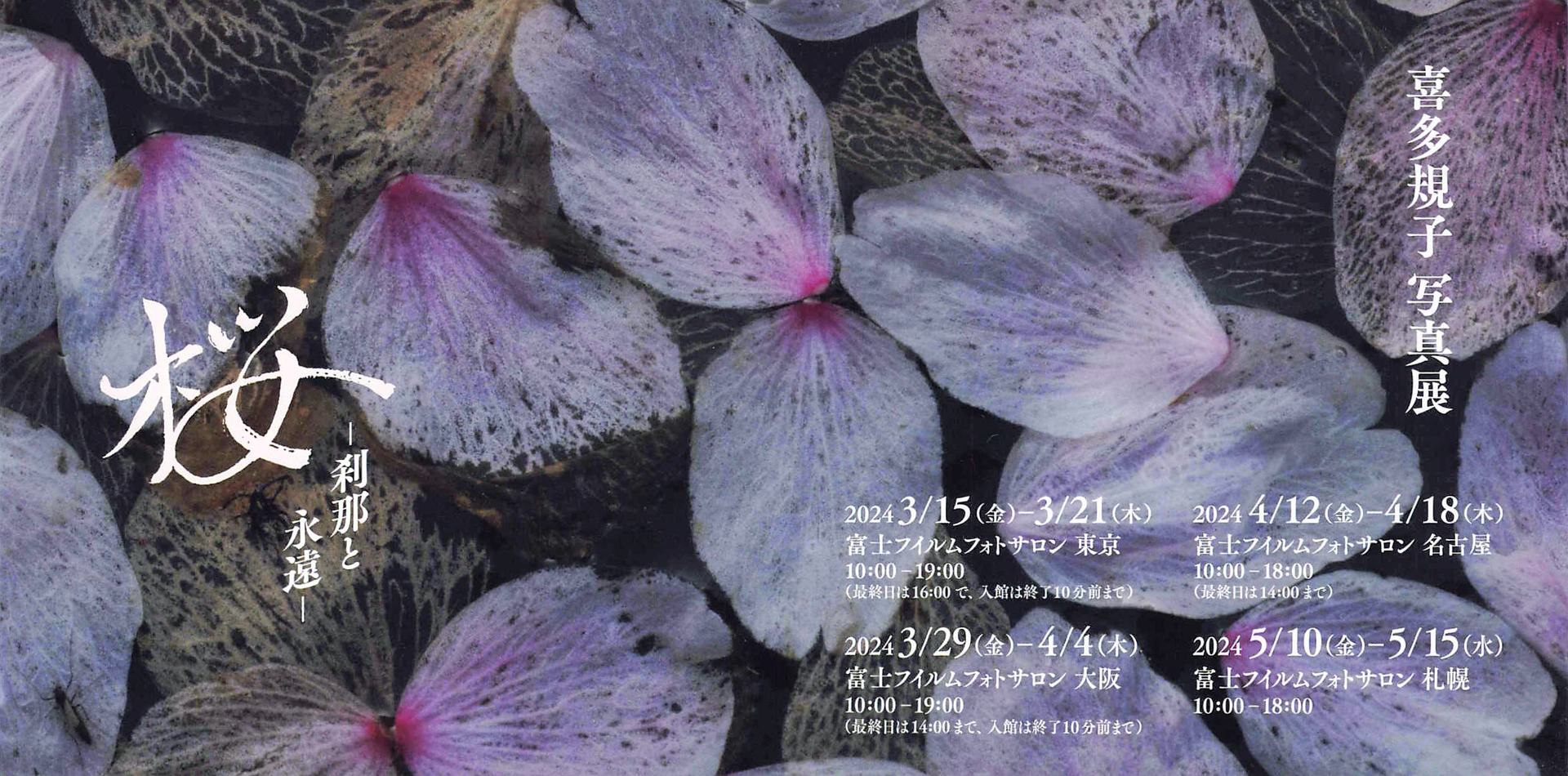 写真展のDM。このDMに使われている桜の花の写真も「M.ZUIKO DIGITAL ED 90mm F3.5 Macro IS PRO」で撮影されたもの。