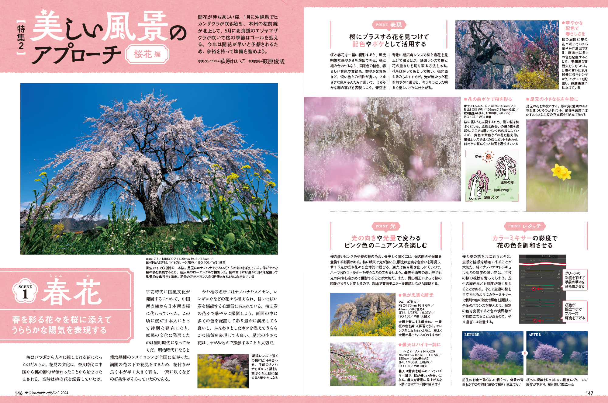 ※拡大して表示できます