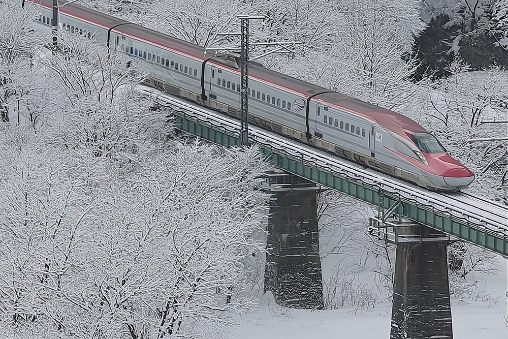 車体や木々のディテールがはっきりとなった
