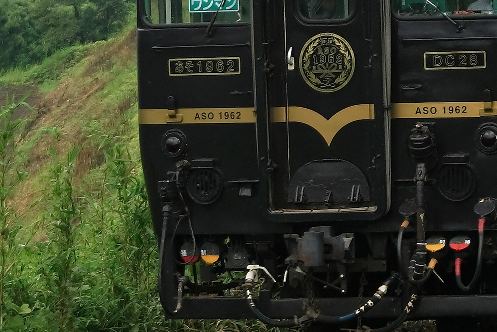 EOS-1D MarkIIで撮影した画像にディープラーニング技術を適用させたもの。10年以上前に撮影した画像も高画質化できる