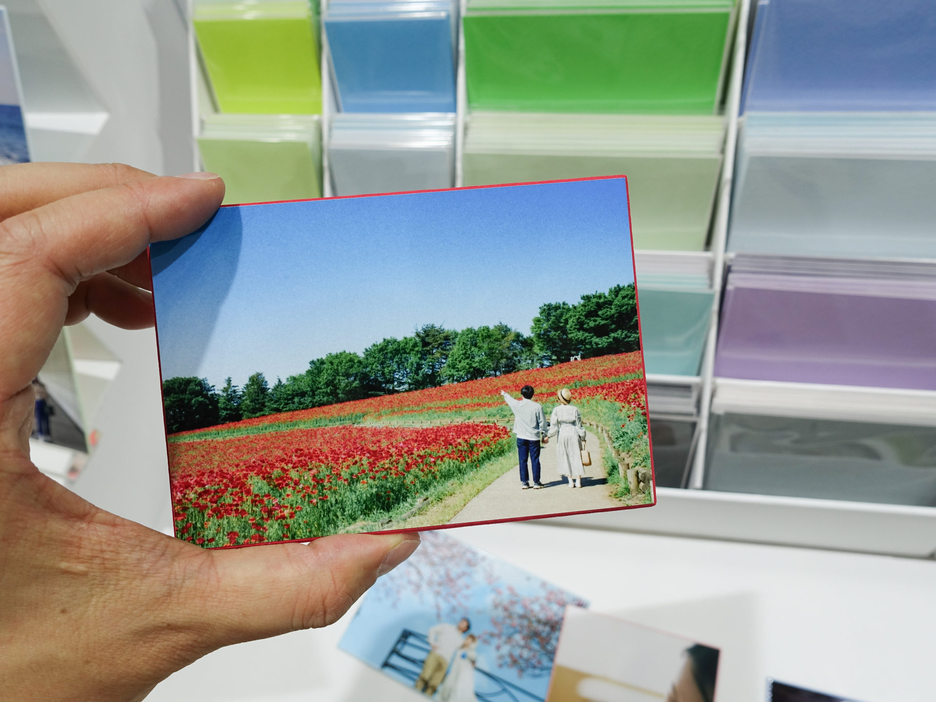 写真に赤い台紙を組み合わせた例