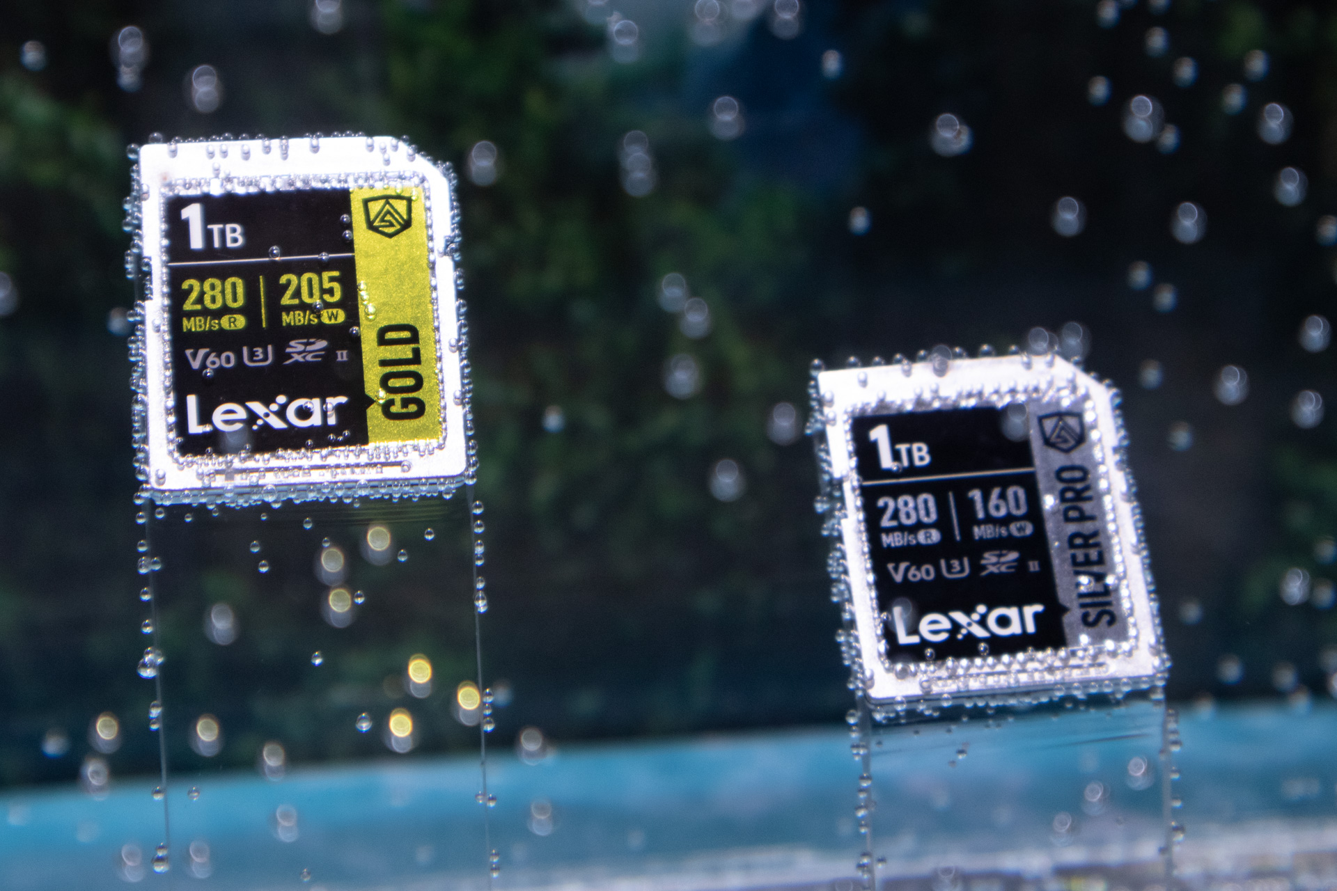 実際に水中に沈めたSDメモリーカード。いずれもUHS-II対応