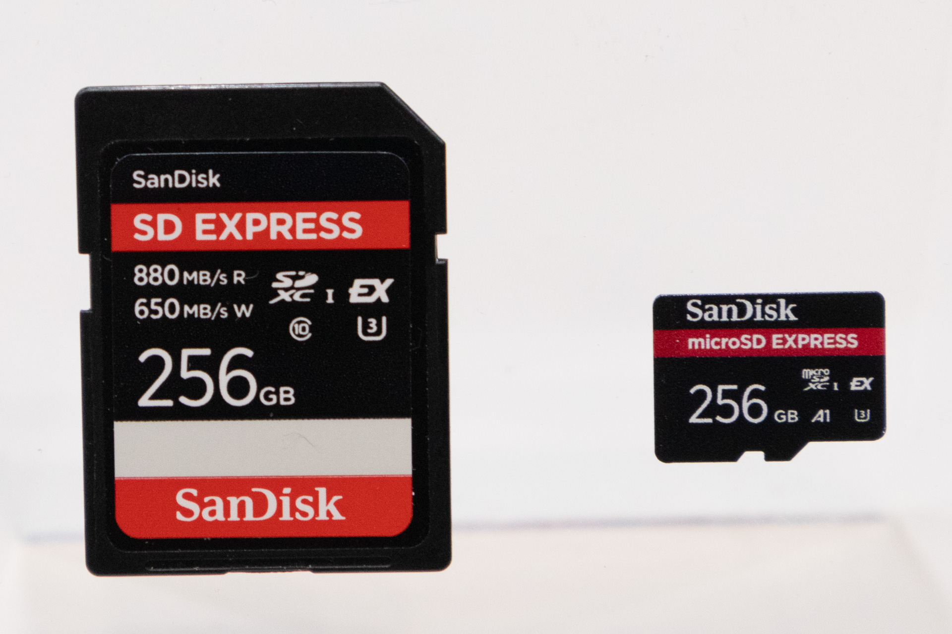 SD Expressの参考展示品