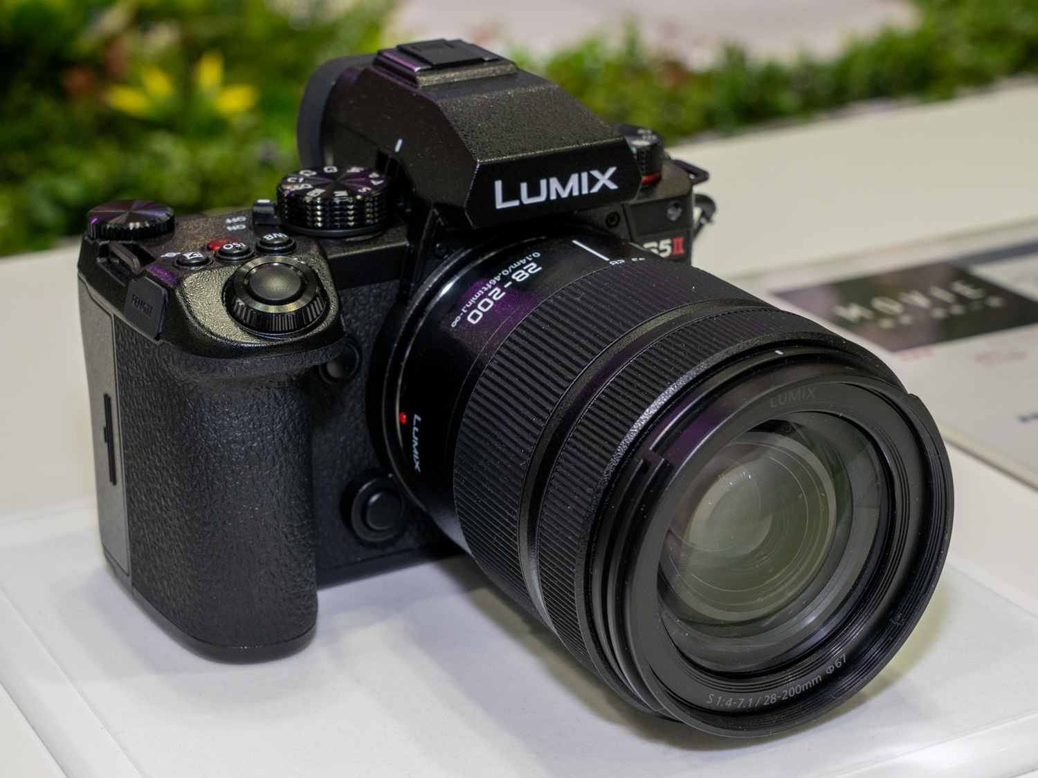 LUMIX S5IIとLUMIX S 28-200mm F4-7.1 MACRO O.I.Sの組み合わせは特に人気があった