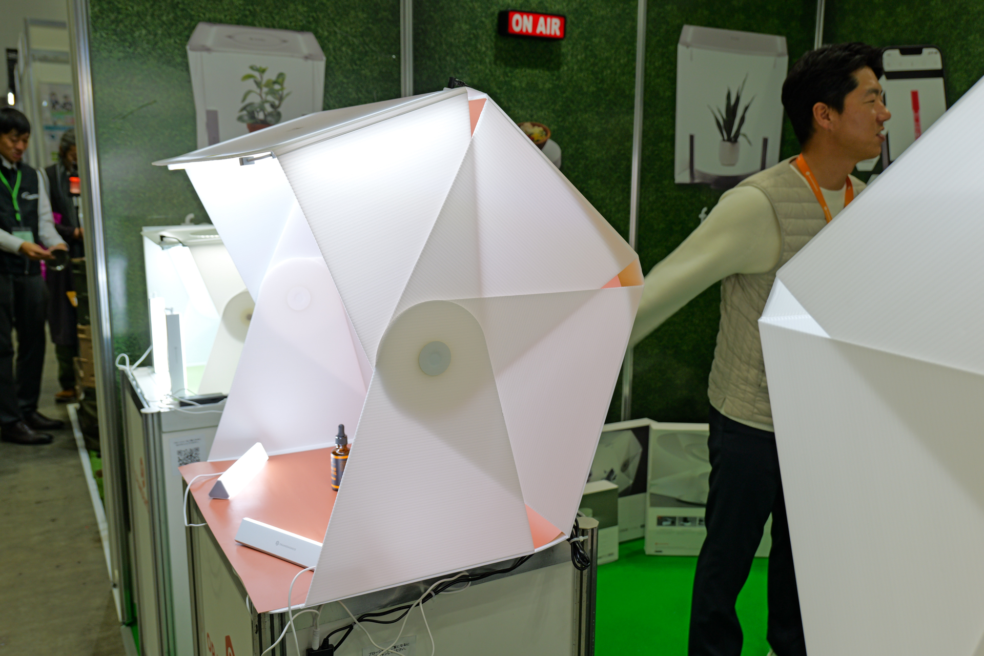 特徴的な構造をしている