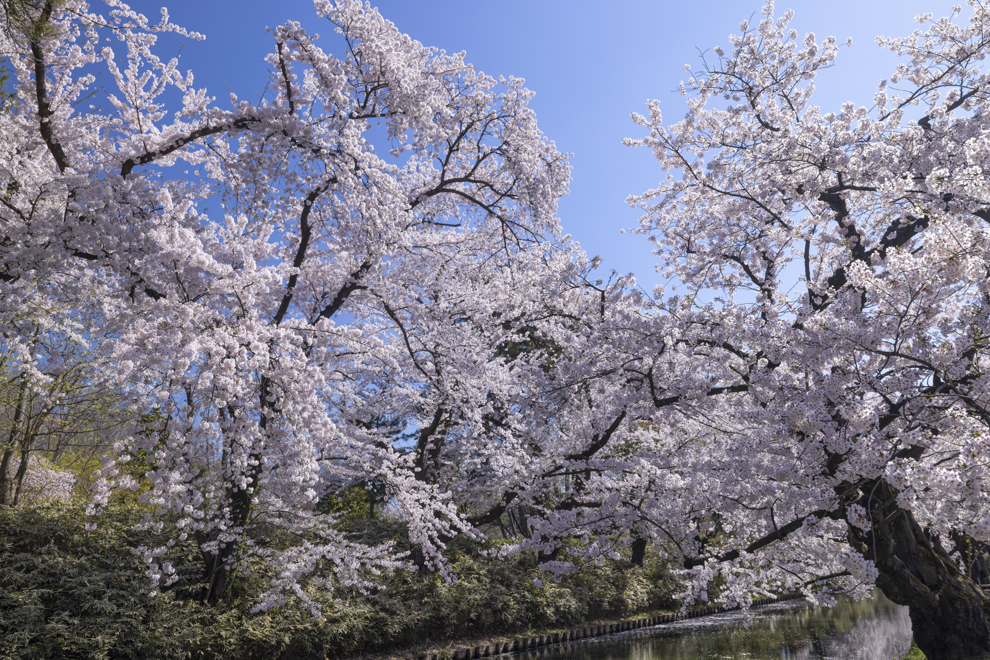 撮影：館野二朗<br><span class="fnt-85">EOS R5／RF15-35mm F2.8 L IS USM／25mm／マニュアル露出（1/160秒、F8.0）／ISO 200</span>