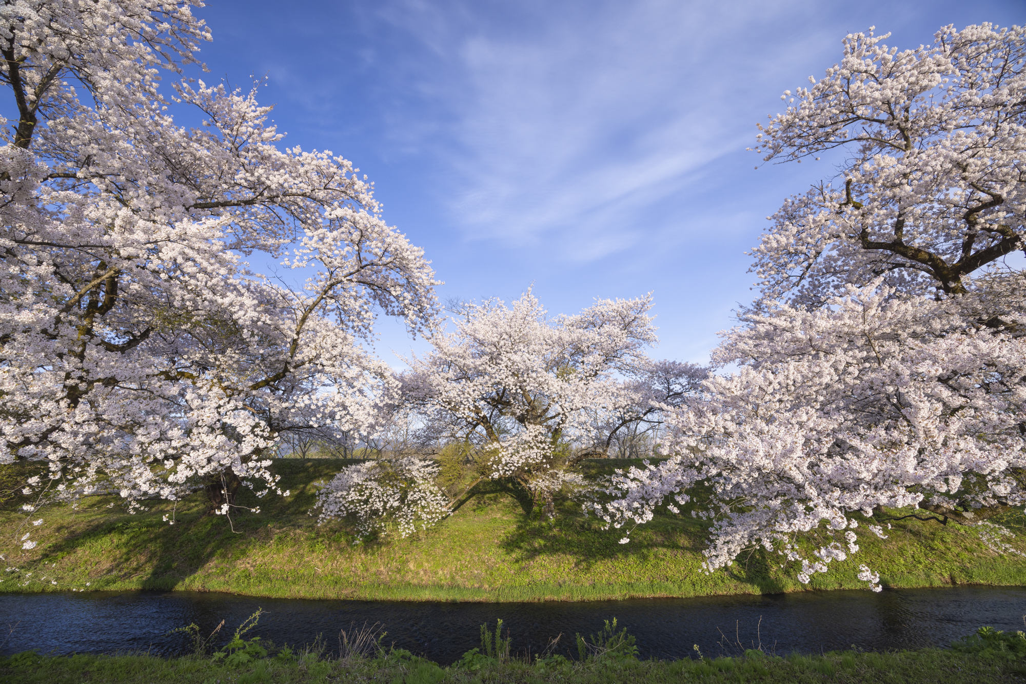 撮影：館野二朗<br><span class="fnt-85">EOS R5／RF14-35mm F4 L IS USM／14mm／マニュアル露出（1/60秒、F8.0）／ISO 200</span>