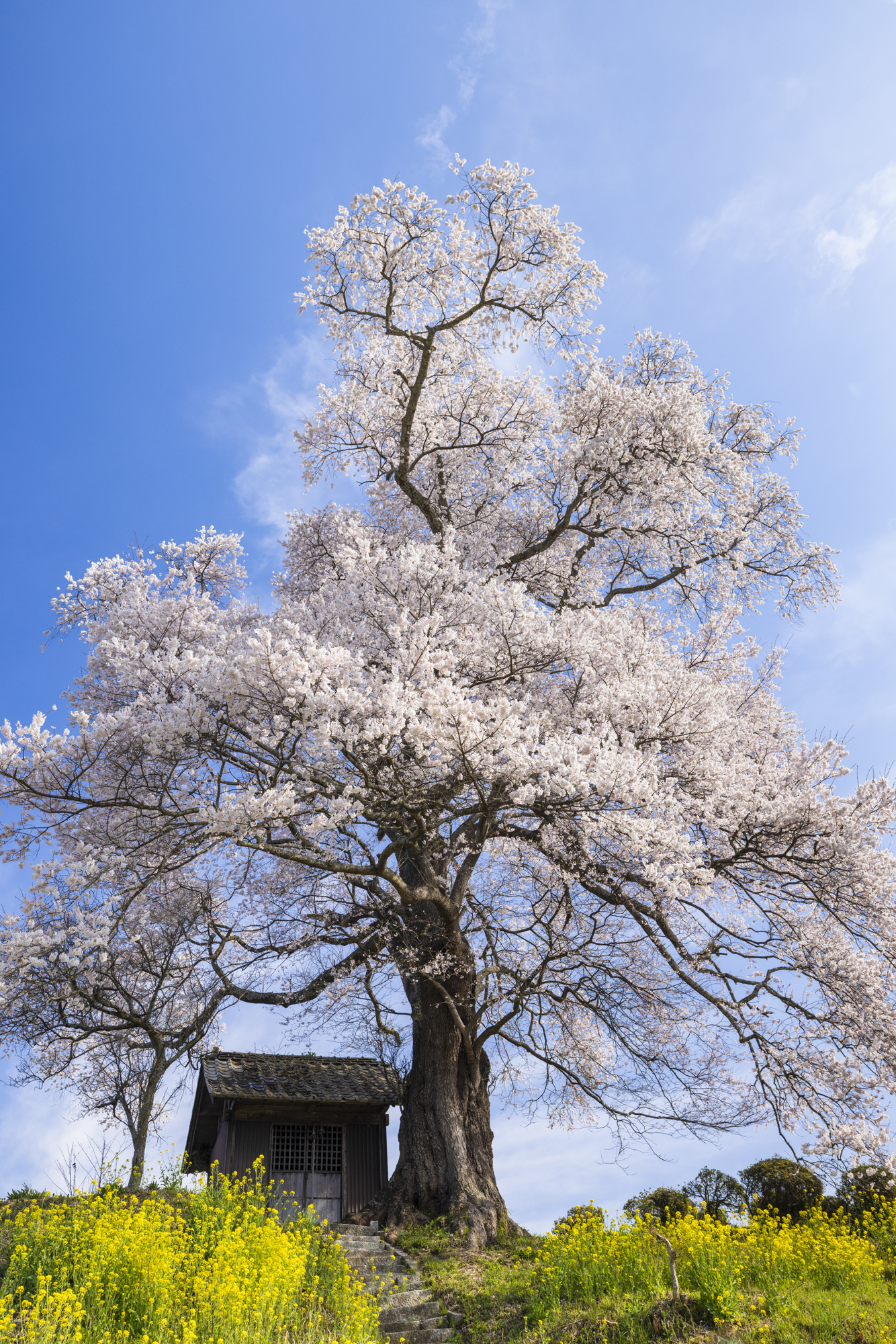 撮影：館野二朗<br><span class="fnt-85">EOS R5／RF15-35mm F2.8 L IS USM／24mm／マニュアル露出（1/250秒、F5.6）／ISO 200</span>