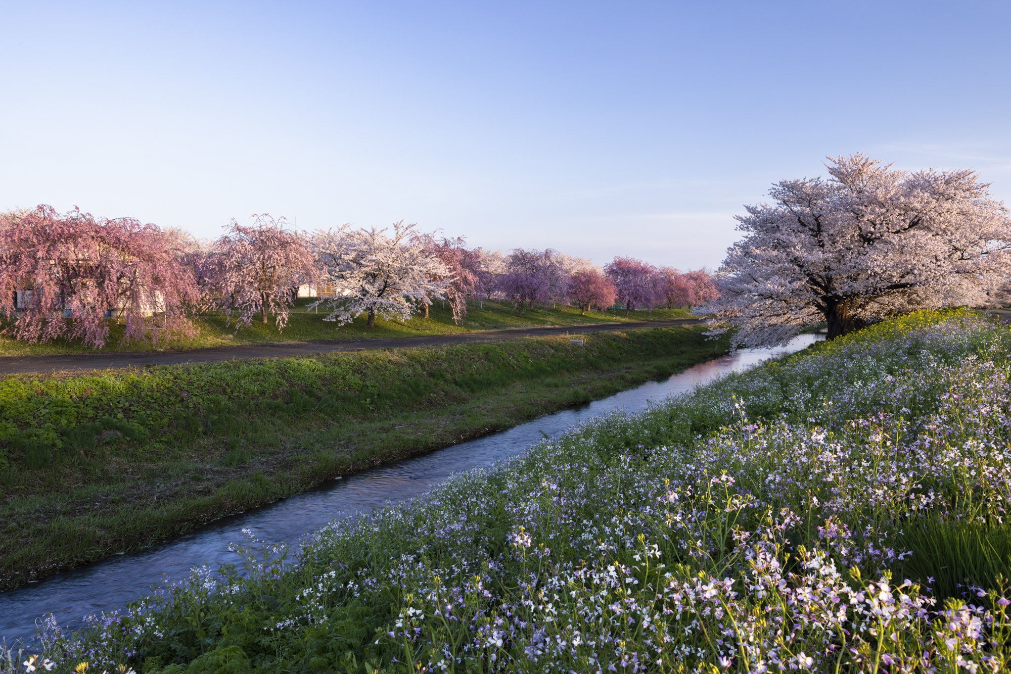 撮影：館野二朗<br><span class="fnt-85">EOS R5／RF14-35mm F4 L IS USM／25mm／マニュアル露出（1/5秒、F11）／ISO 100</span>