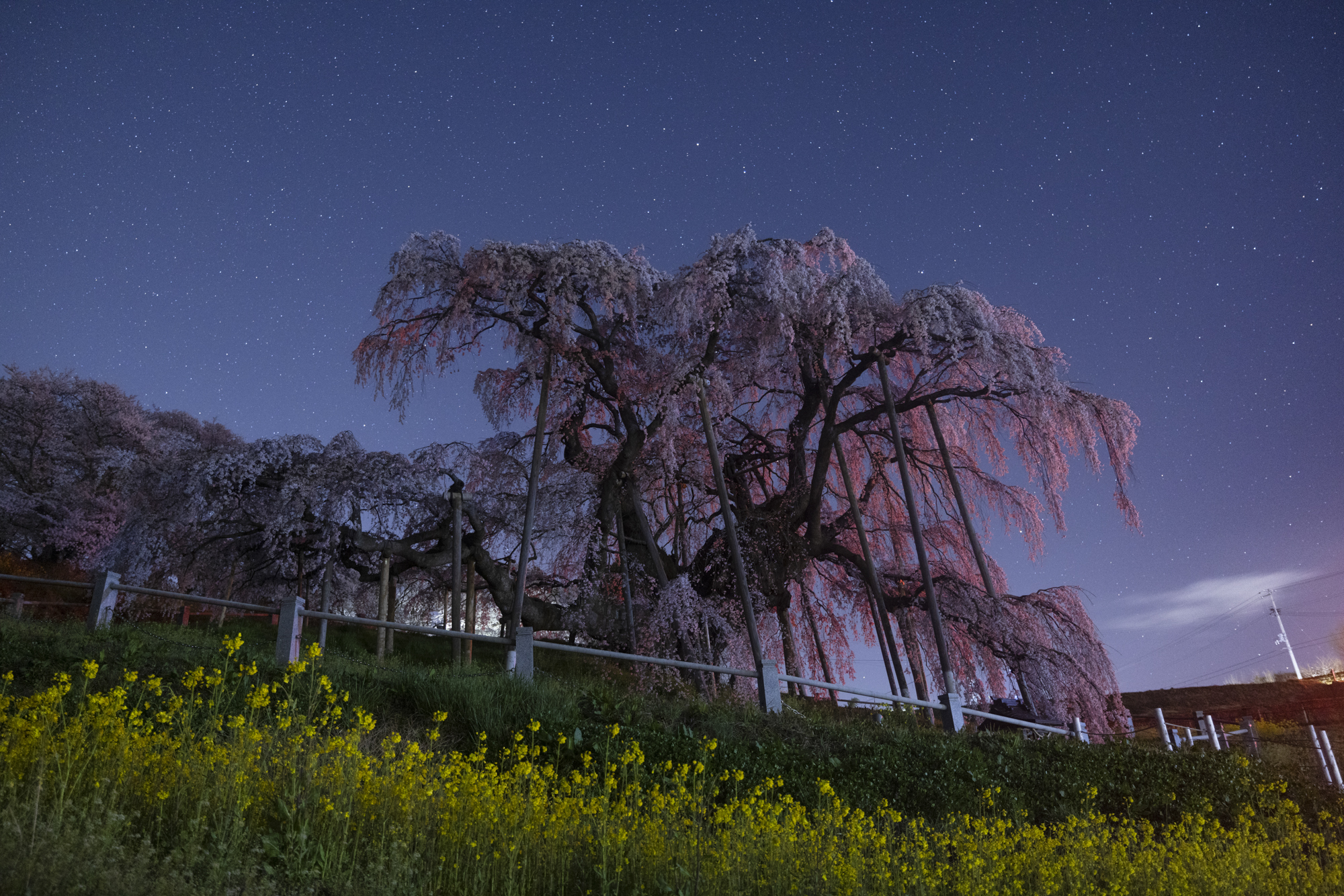 撮影：館野二朗<br><span class="fnt-85">EOS R5／RF15-35mm F2.8 L IS USM／25mm／マニュアル露出（15.0秒、F2.8）／ISO 2000</span>