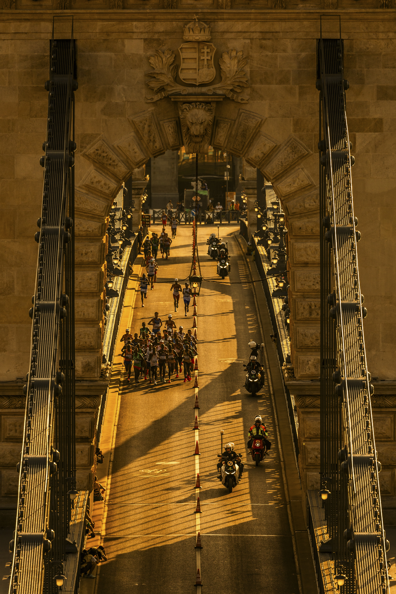 撮影：奥井隆史<br><span class="fnt-85">EOS R3／RF100-500mm F4.5-7.1 L IS USM／363mm／マニュアル露出（1/2,000秒、F5.6）／ISO 640</span>