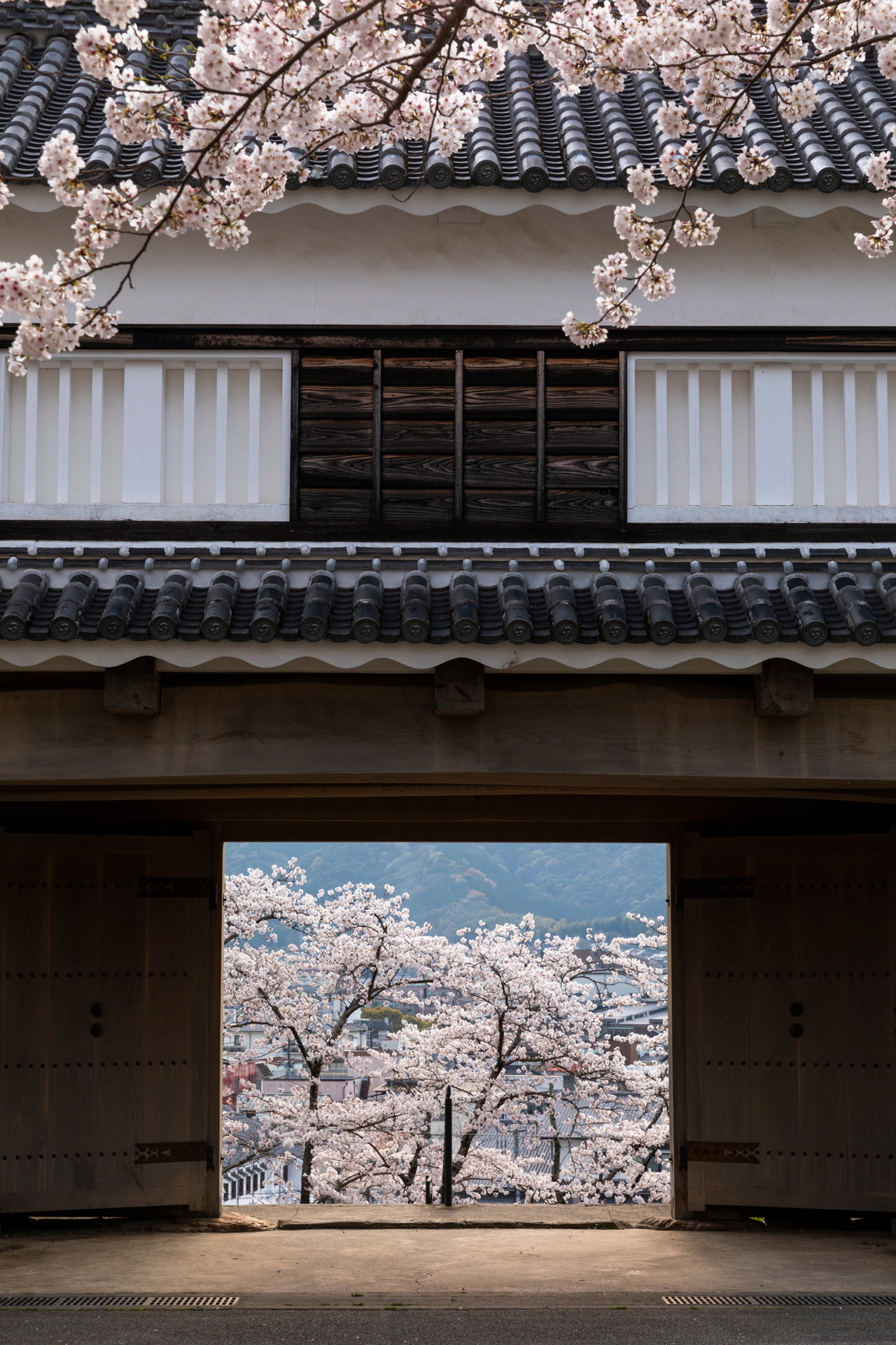 撮影：館野二朗<br><span class="fnt-85">EOS 5D Mark IV／EF24-70mm F2.8L II USM／70mm／絞り優先（1/13秒、F11）／ISO 100</span>