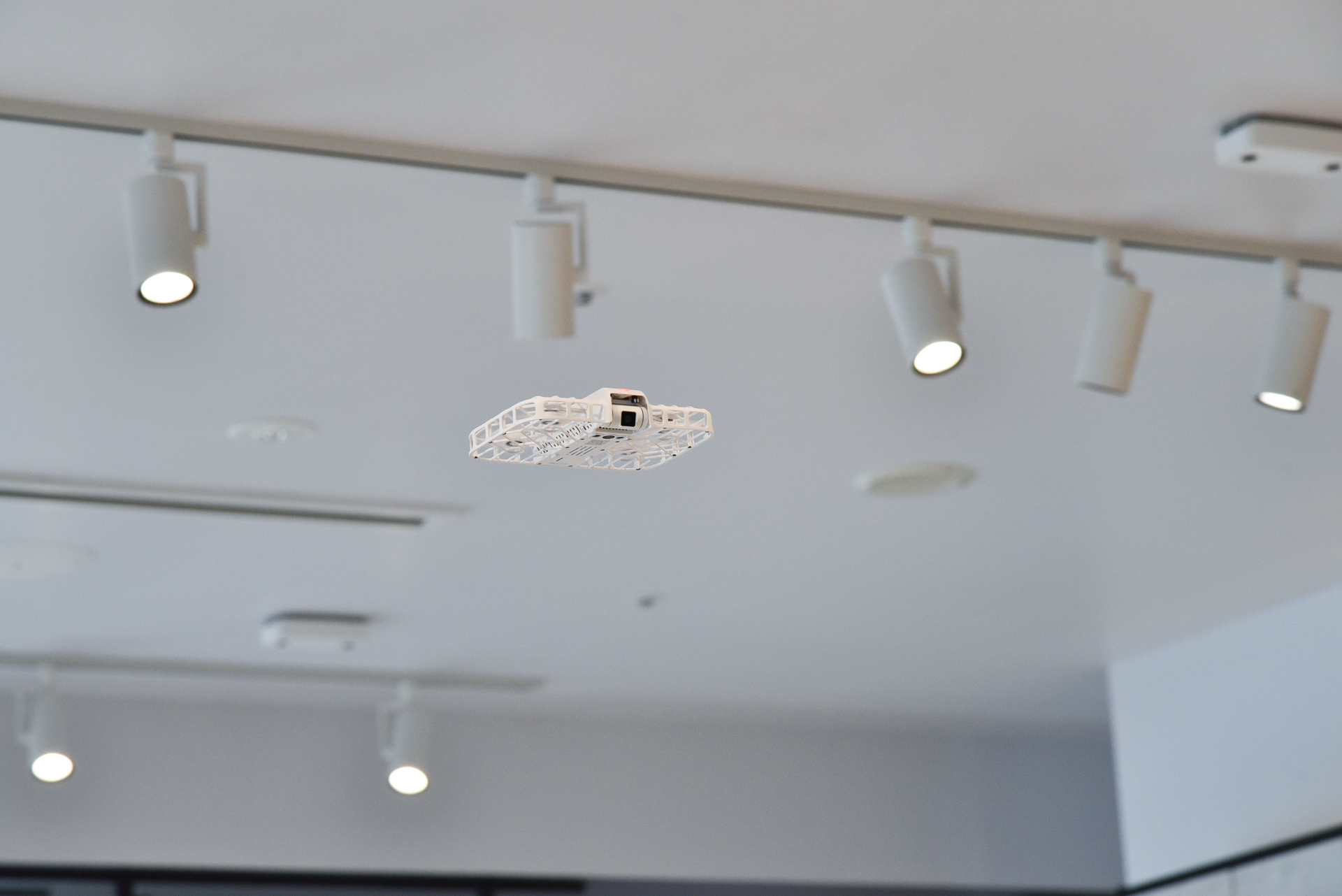 飛んでいる様子