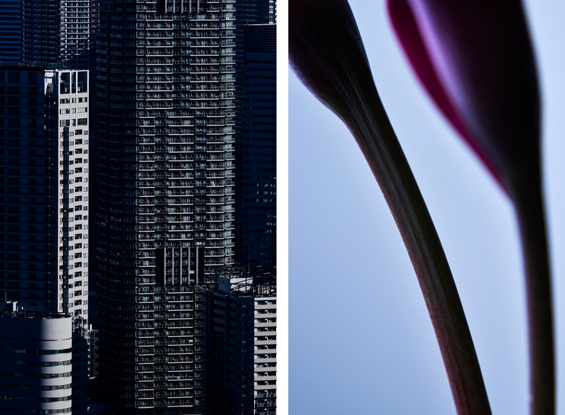 Daisuke Abe｜Leica Gallery Kyoto