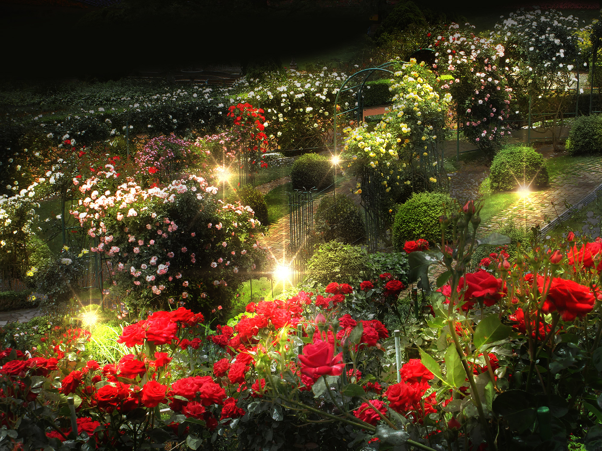 ロイヤル・ローズ・ガーデン