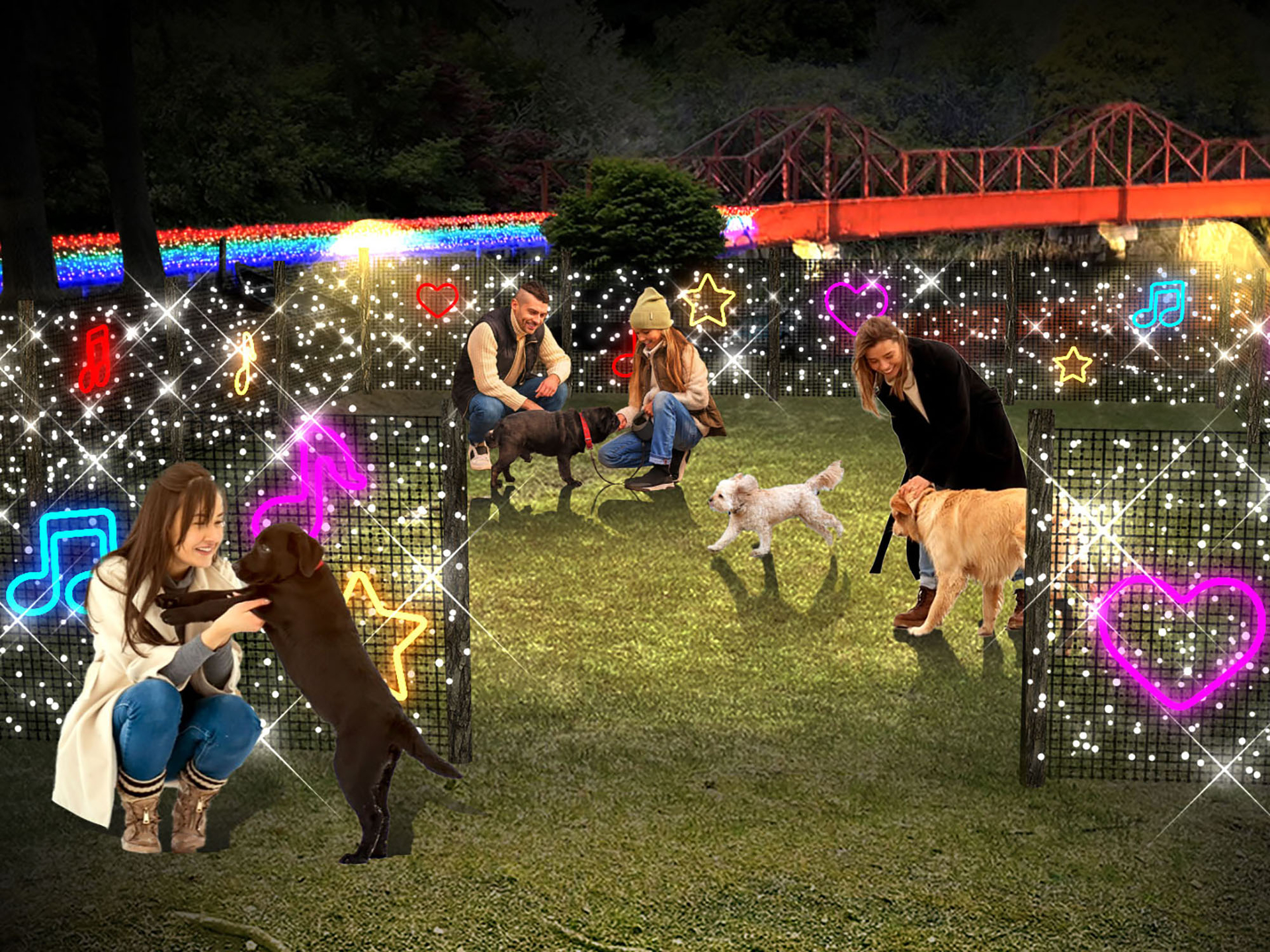 光のドッグラン