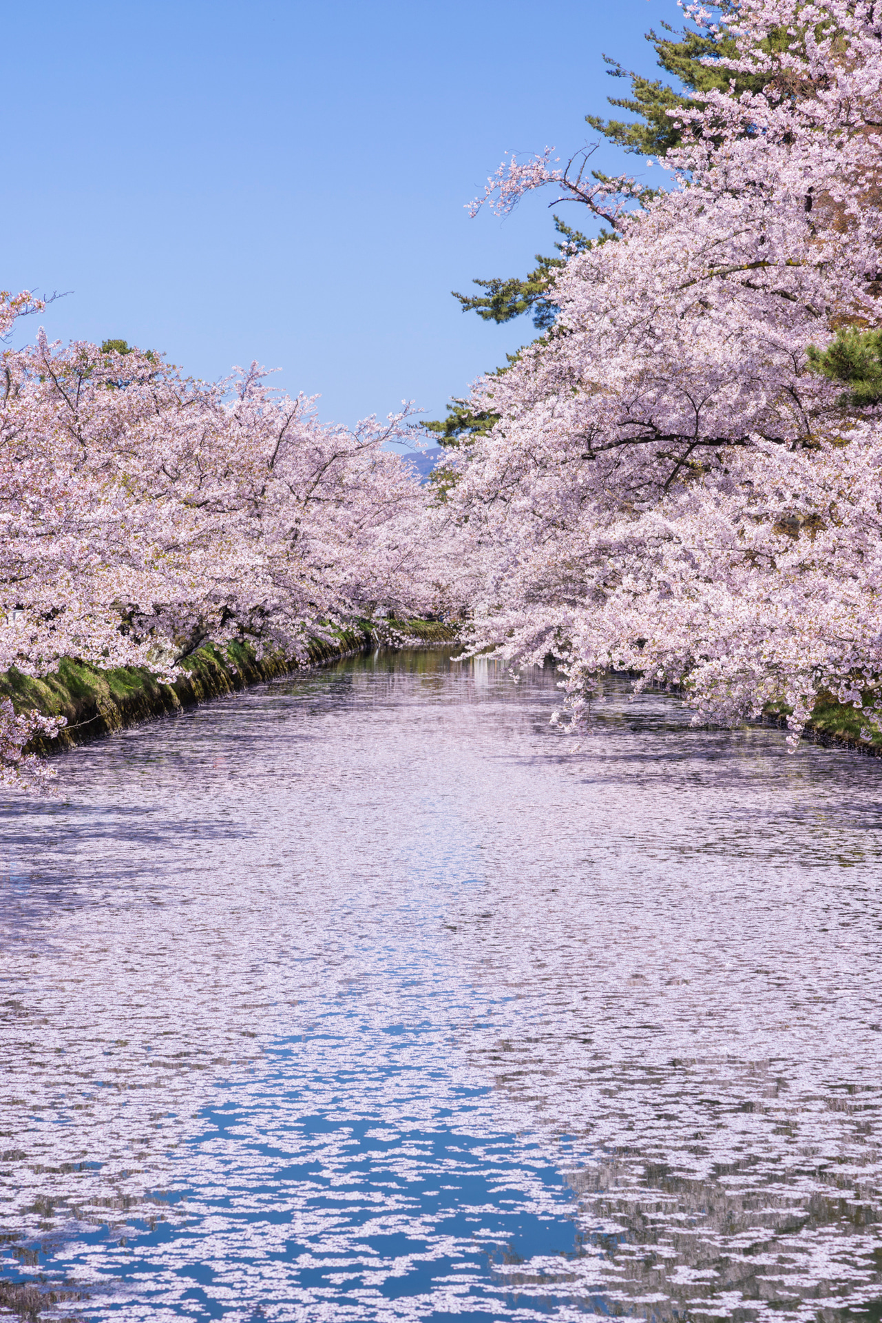 撮影：館野二朗<br><span class="fnt-85">EOS R5／RF24-105mm F4 L IS USM／105mm／絞り優先（1/30秒、F11）／ISO 100</span>