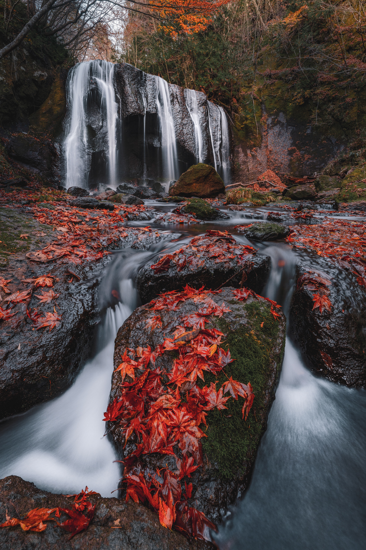 滝を撮りに行くたびに気になるのが足元の風景。躍動感のある滝や水の流れと岩に張り付いたしっとりとした落葉を対比するように14mmの超広角域で捉えた<br><span class="fnt-85">Z 7 II／NIKKOR Z 14-24mm f/2.8 S／14mm／マニュアル（8秒、F8）／ISO 100</span>