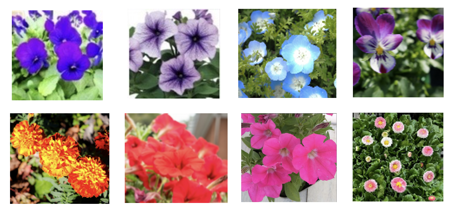 イマーシブエリア