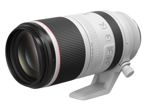 RF100-500mm F4.5-7.1 L IS USM