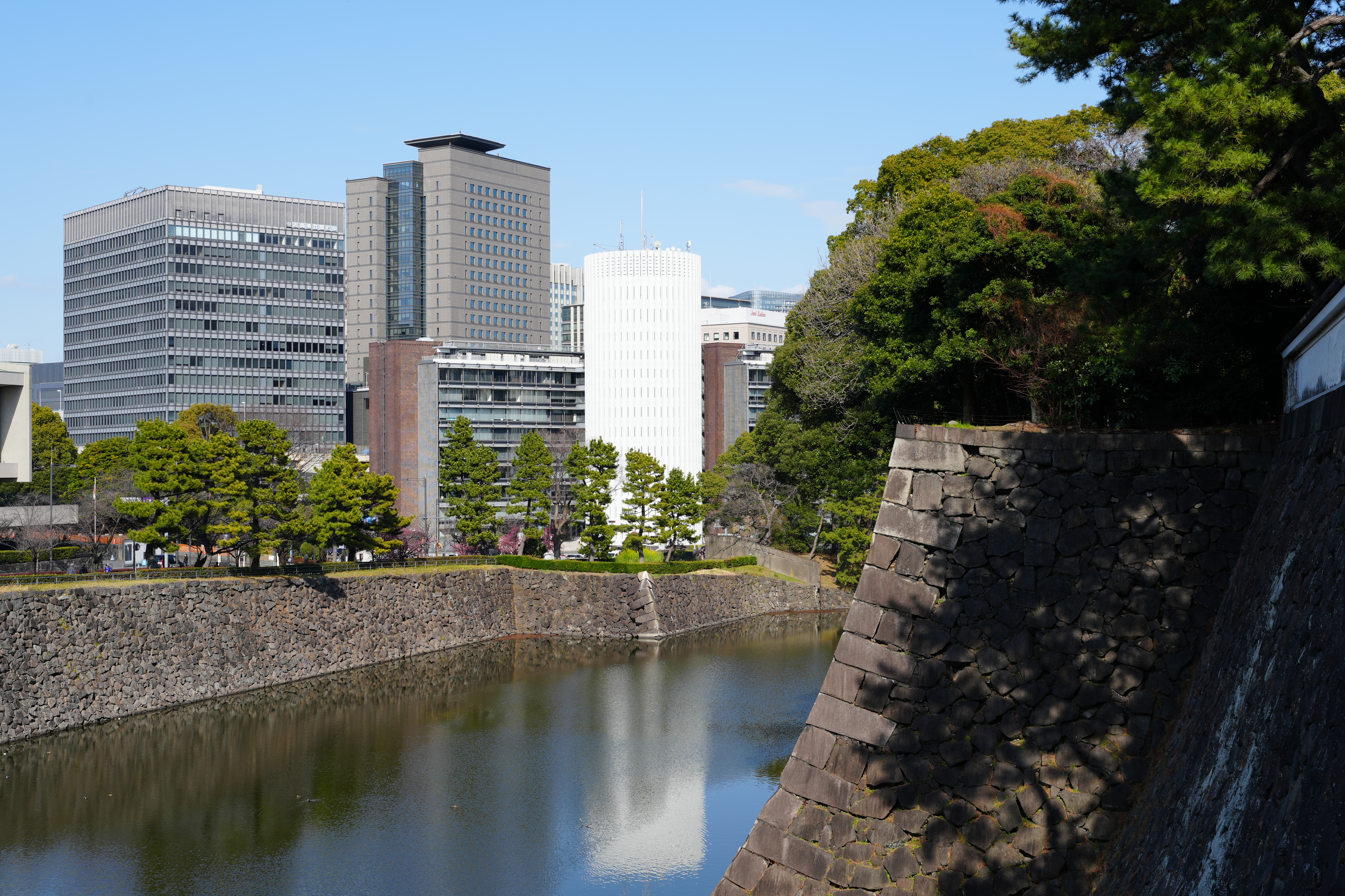 α7C II／FE 24-50mm F2.8 G／50mm／プログラムAE（1/160秒、F10、±0.0EV）／ISO 100