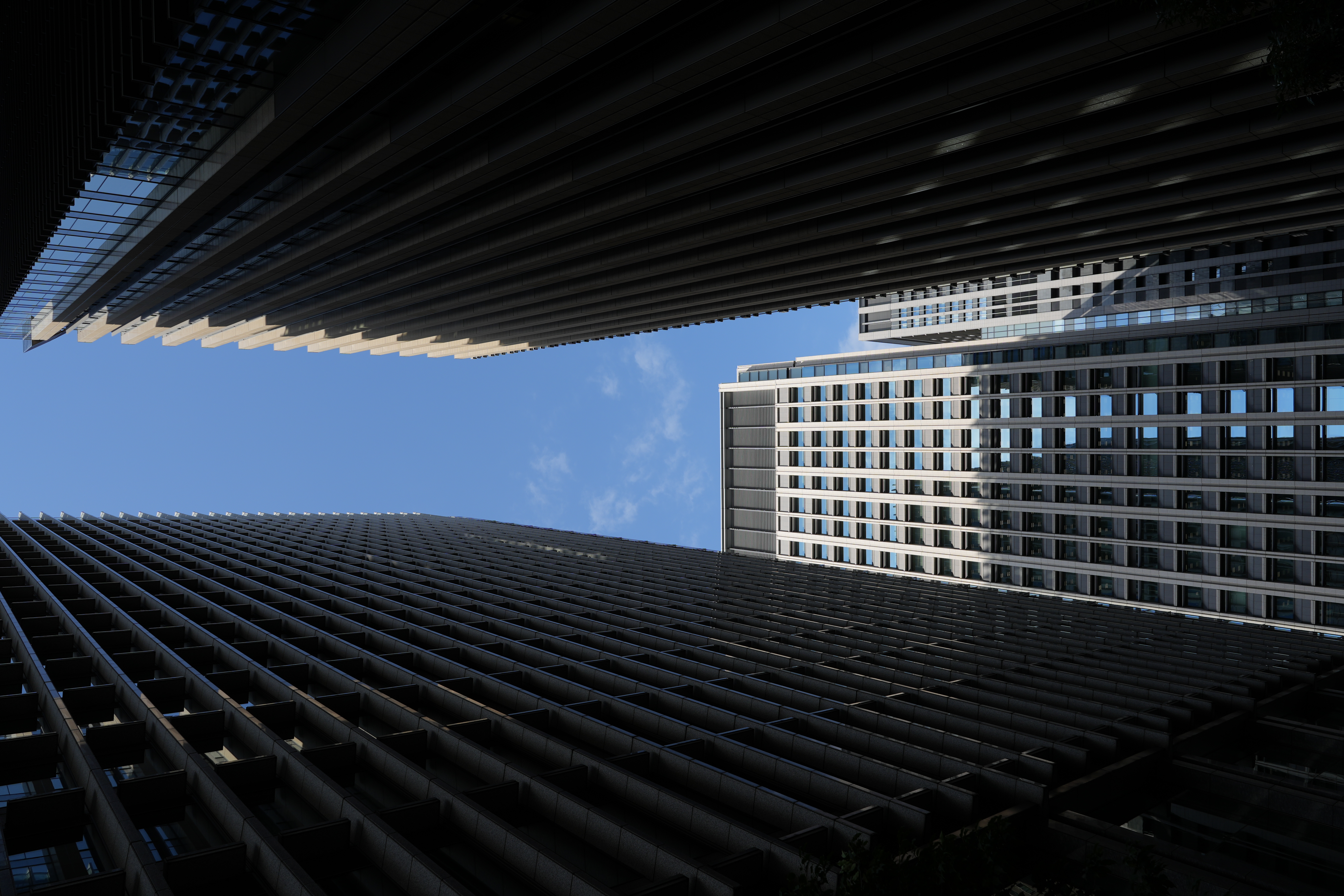 α7C II／FE 24-50mm F2.8 G／24mm／プログラムAE（1/250秒、F8.0、−1.0EV）／ISO 100