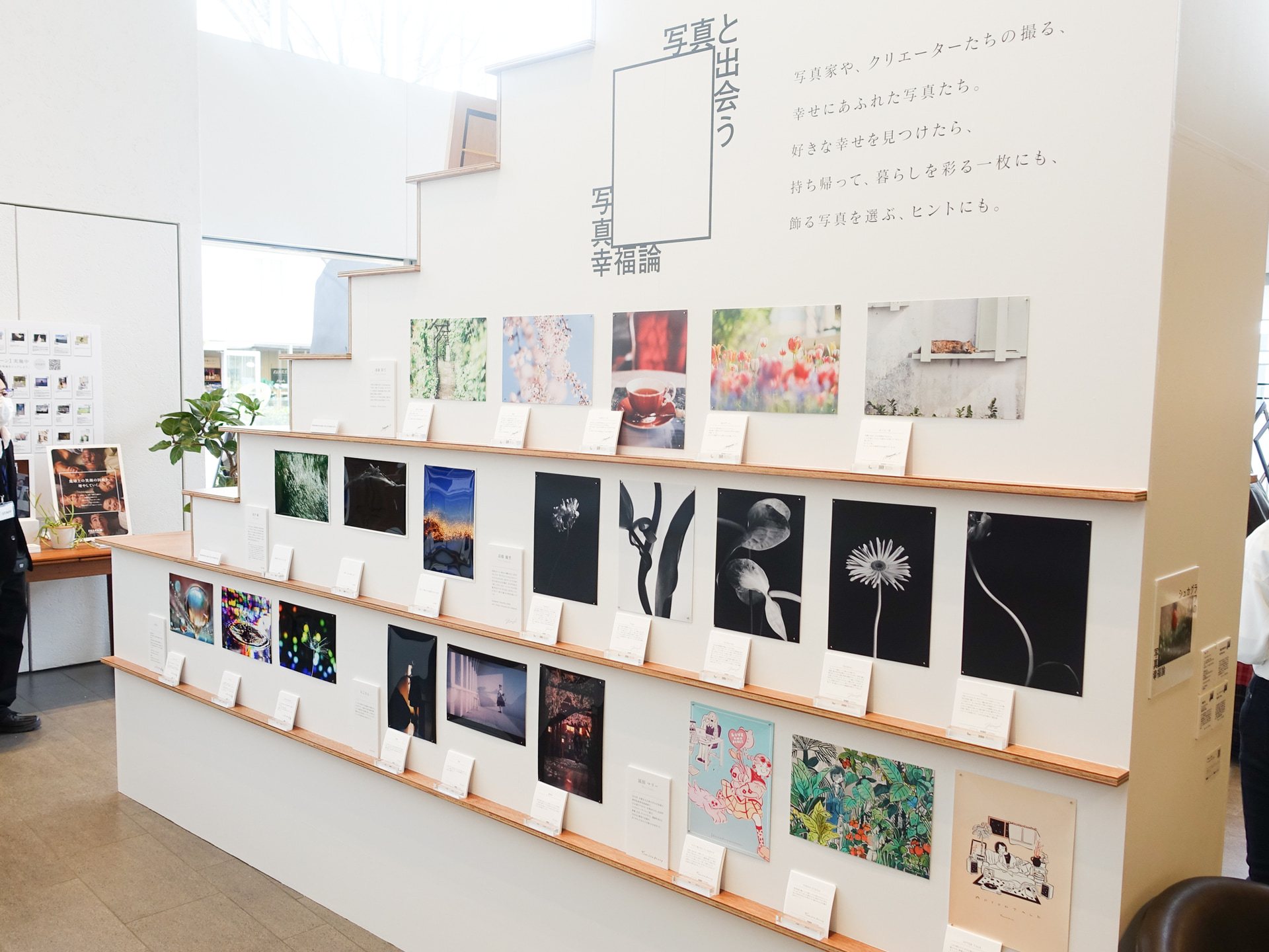 「写真と出会う」のコーナー