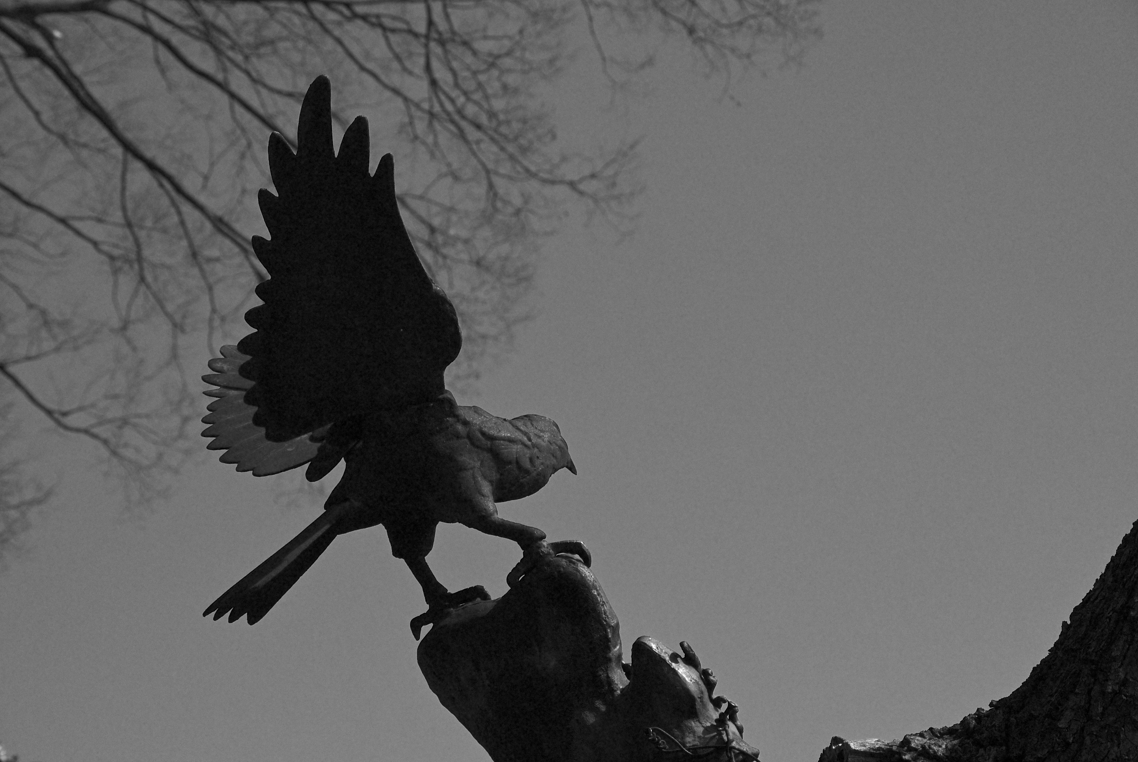 RAWファイルから最新のニコンNX Studioでピクチャーコントロールのディープトーンモノクロームを反映させ現像しました。ニコンZ fで注目されたモノクロモードですが、適度な空のノイズが良い効果をあげています<br><span class="fnt-85">Nikon 1 V1／1 NIKKOR VR 30-110mm f/3.8-5.6／38.5mm（103mm相当）／絞り優先AE（1/1,600秒、F8.0、−0.7EV）／ISO 400</span>