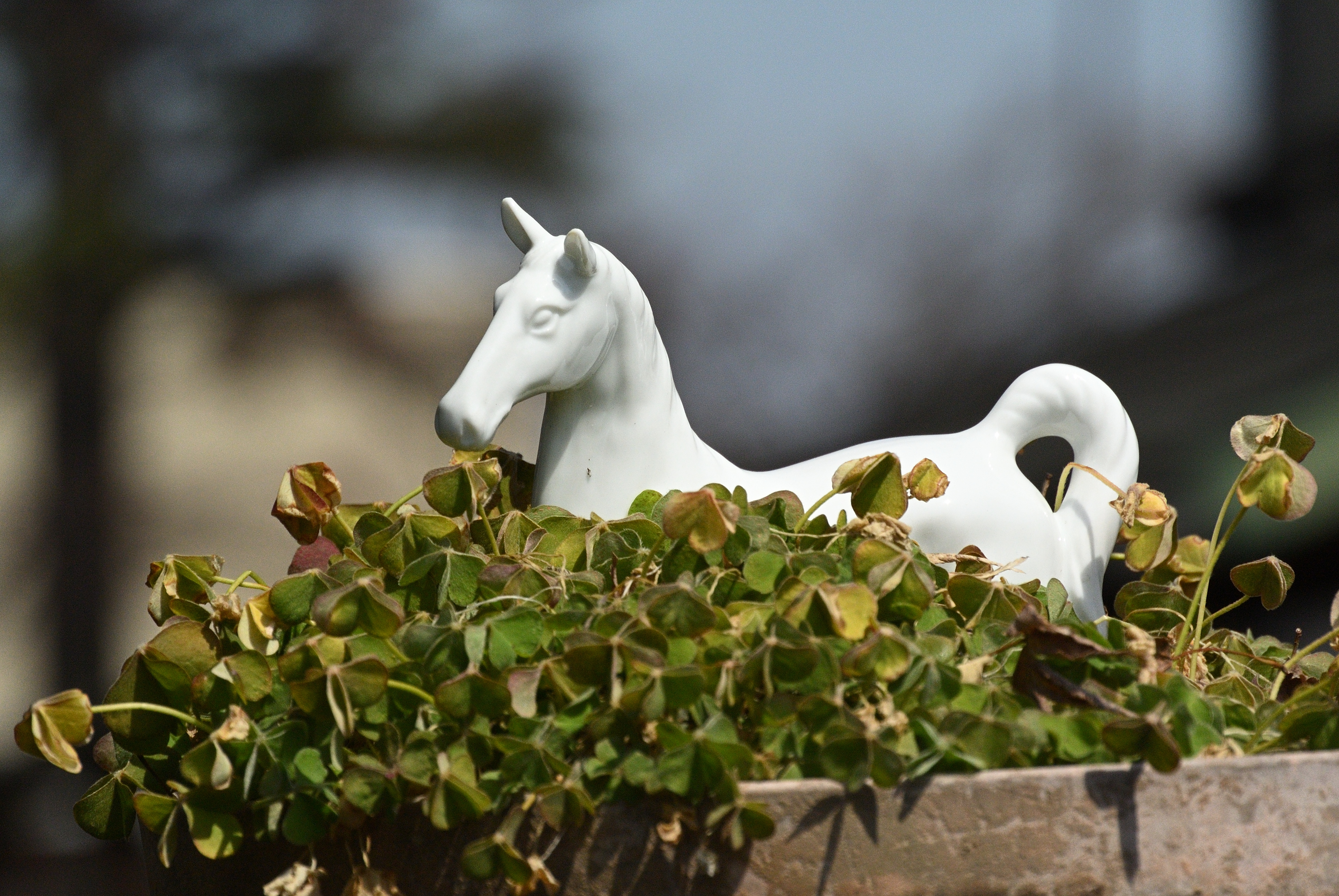 テレ端で撮影。至近距離では1/3絞りほど絞り込むと、エッジのキレが増す印象で落ち着きが出てきます。ハイライトの描写もいい感じです<br><span class="fnt-85">Nikon 1 V1／1 NIKKOR VR 30-110mm f/3.8-5.6／110mm（297mm相当）／絞り優先AE（1/4,000秒、F6.3、−0.7EV）／ISO 400</span>