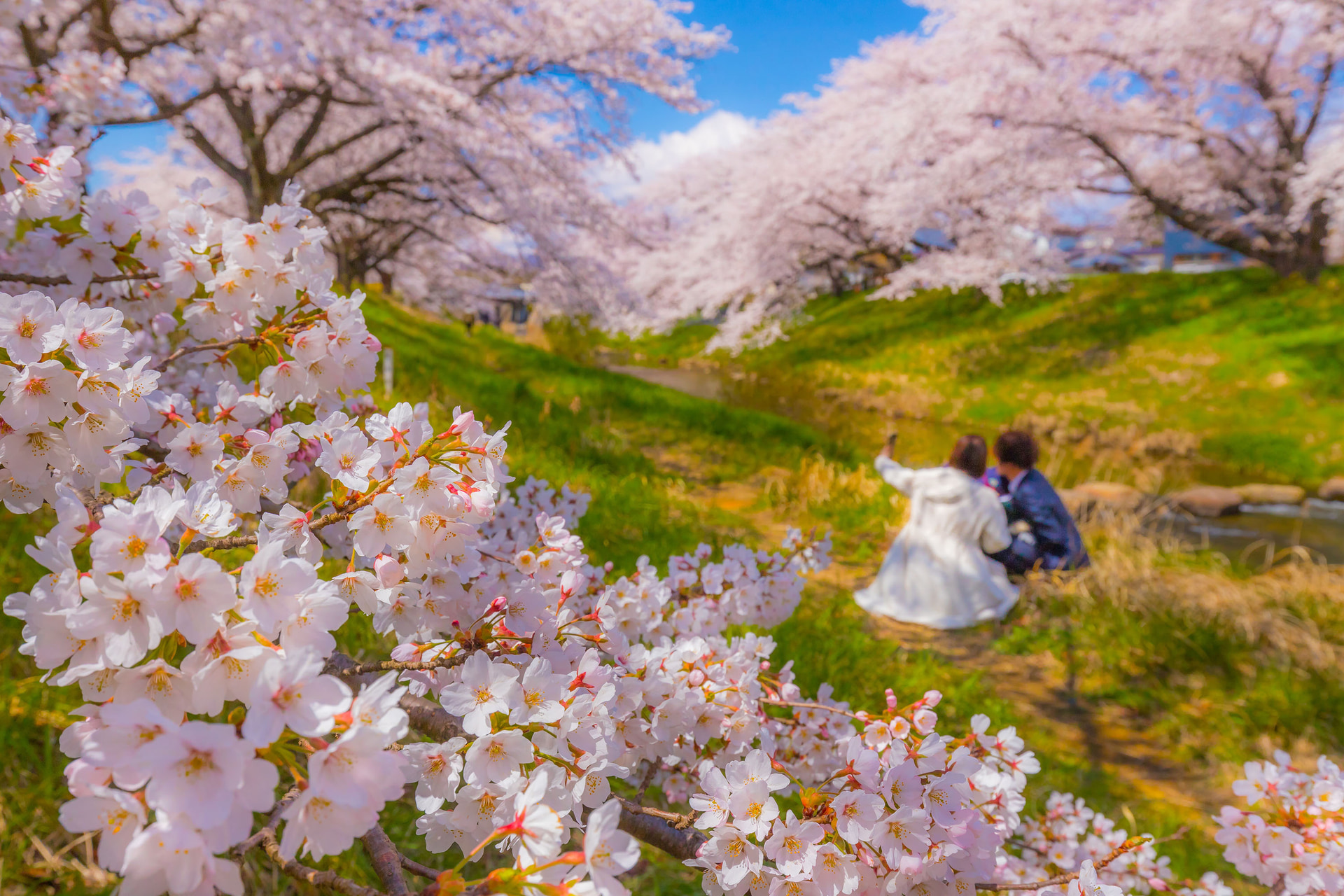 EOS 6D Mark II／EF16-35mm F4L IS USM／32mm／マニュアル露出（1/250秒・F11）／ISO 400／WB：マニュアル	https://ganref.jp/m/umetarou/portfolios/photo_detail/4378152