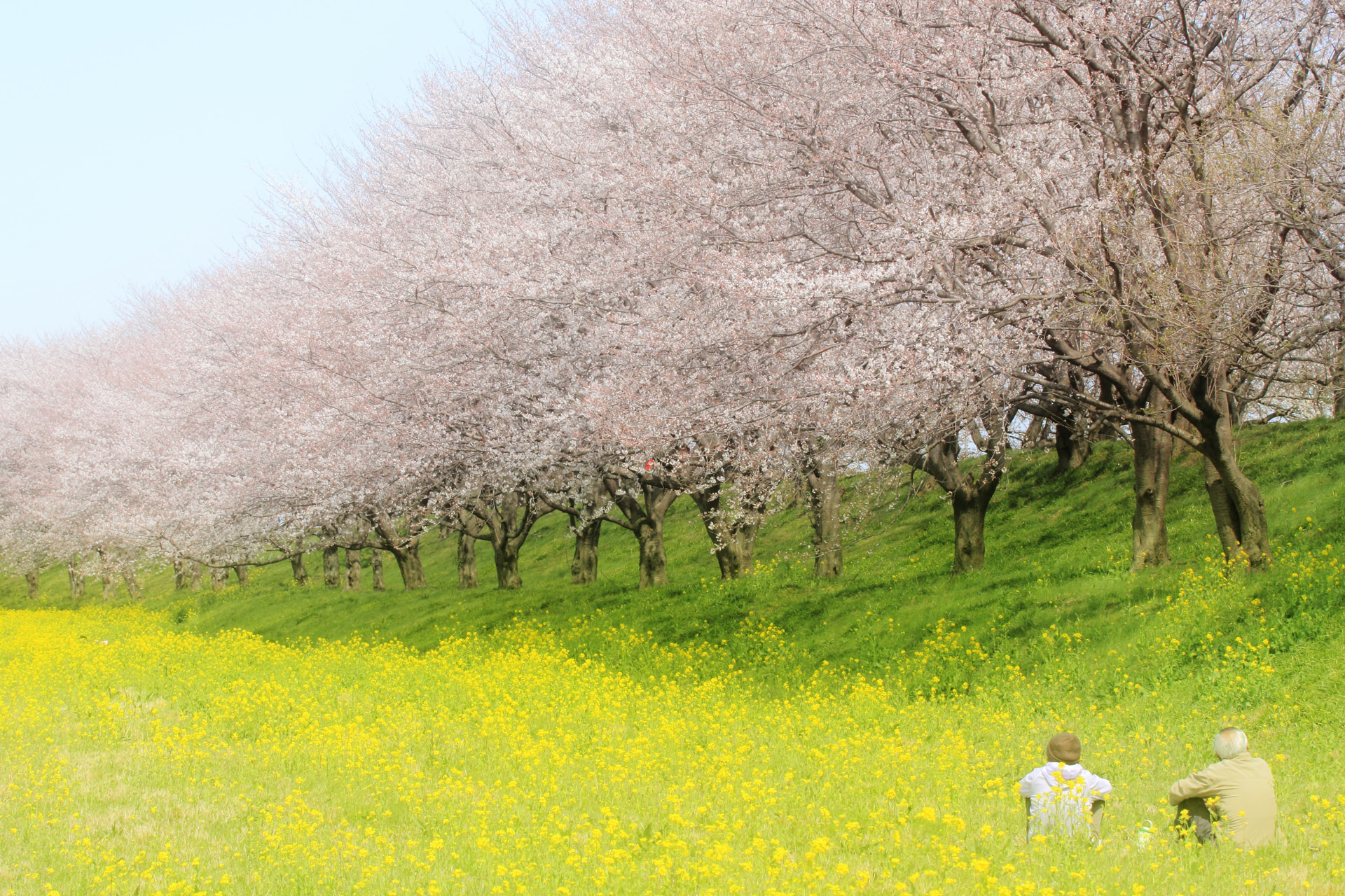 EOS 60D／EF70-200mm F2.8L IS II USM／70mm／絞り優先AE（1/200秒・F10・-2/3EV）／ISO 200／WB：オート	https://ganref.jp/m/kurokuro/portfolios/photo_detail/1736676