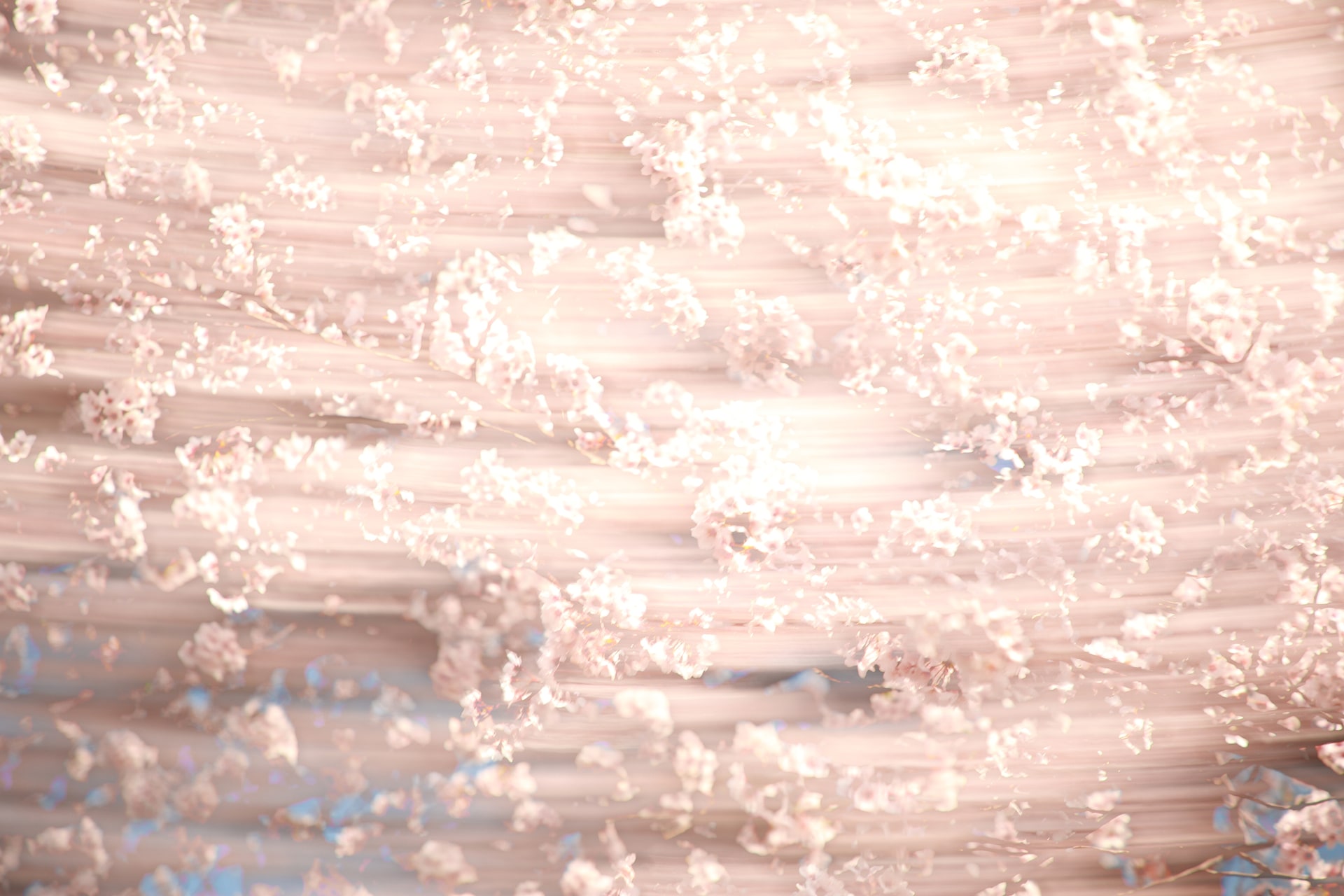 EOS 5D Mark IV／EF24-105mm F4L IS II USM／105mm／絞り優先AE（3.2秒・F4・+2EV）／ISO 125／WB：マニュアル	https://ganref.jp/m/sunlitez/portfolios/photo_detail/3287952