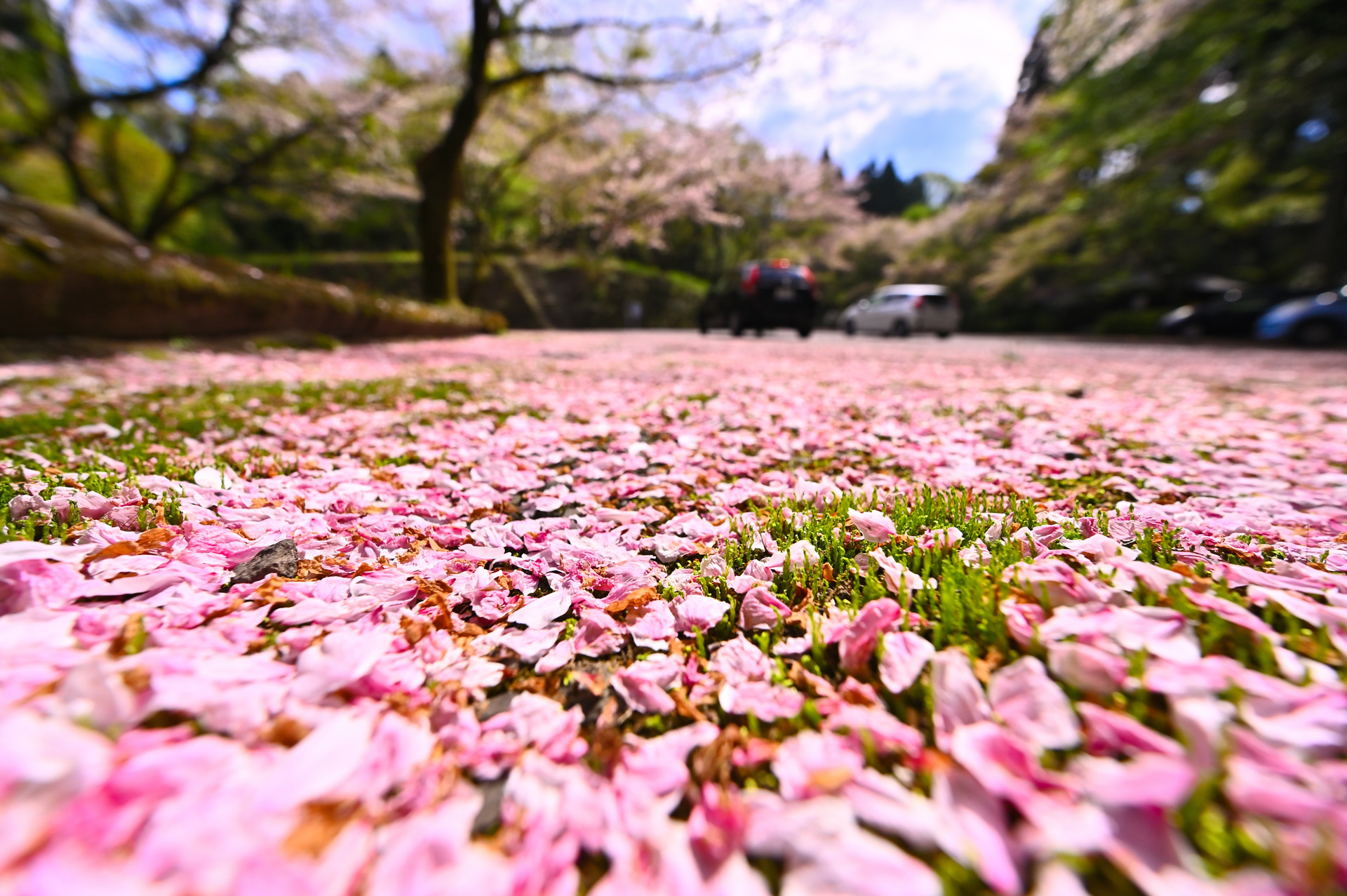 Z 6／NIKKOR Z 14-30mm f/4 S／14mm／プログラムAE（1/2,500秒・F5.6）／ISO 200／WB：太陽光	https://ganref.jp/m/niko-zi-/portfolios/photo_detail/5114603