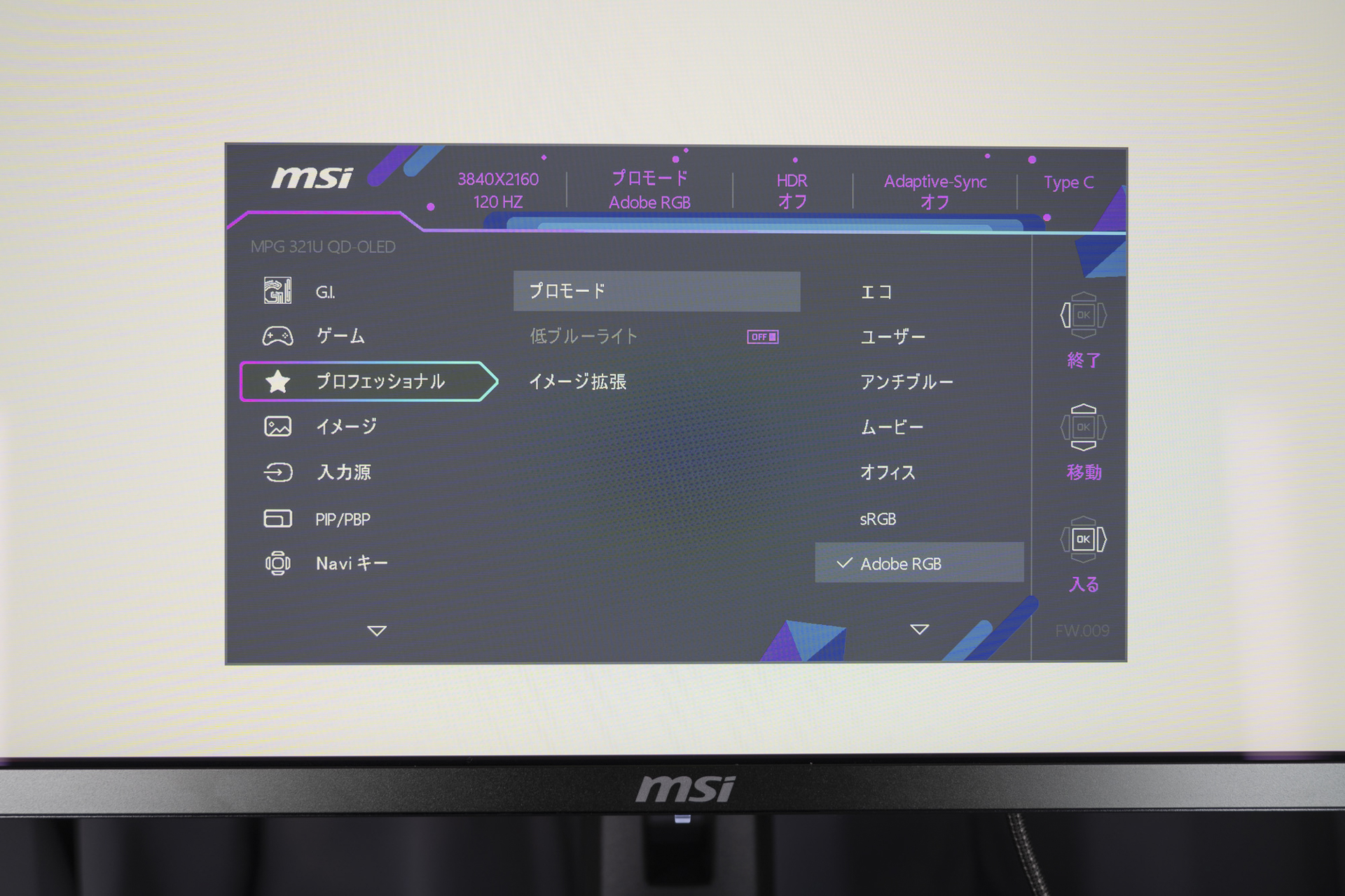 設定画面の「プロフェッショナル」から、おなじみのカラーモード（sRGB、Adobe RGB、Display P3）が選択できる