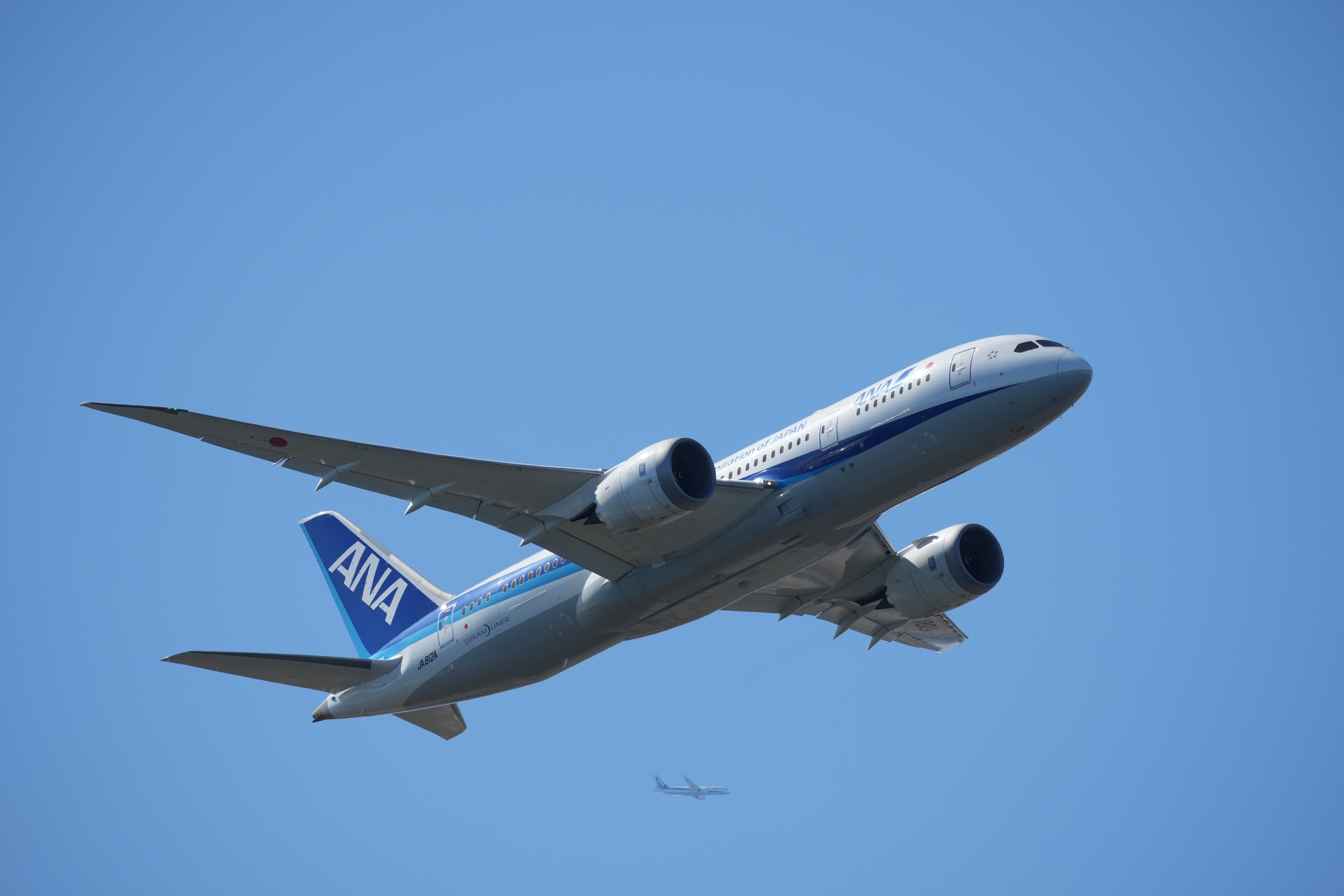 α1／SIGMA 500mm F5.6 DG DN OS | Sports／500mm／マニュアル露出（1/1,600秒、F8）／ISO 400／WB：オート