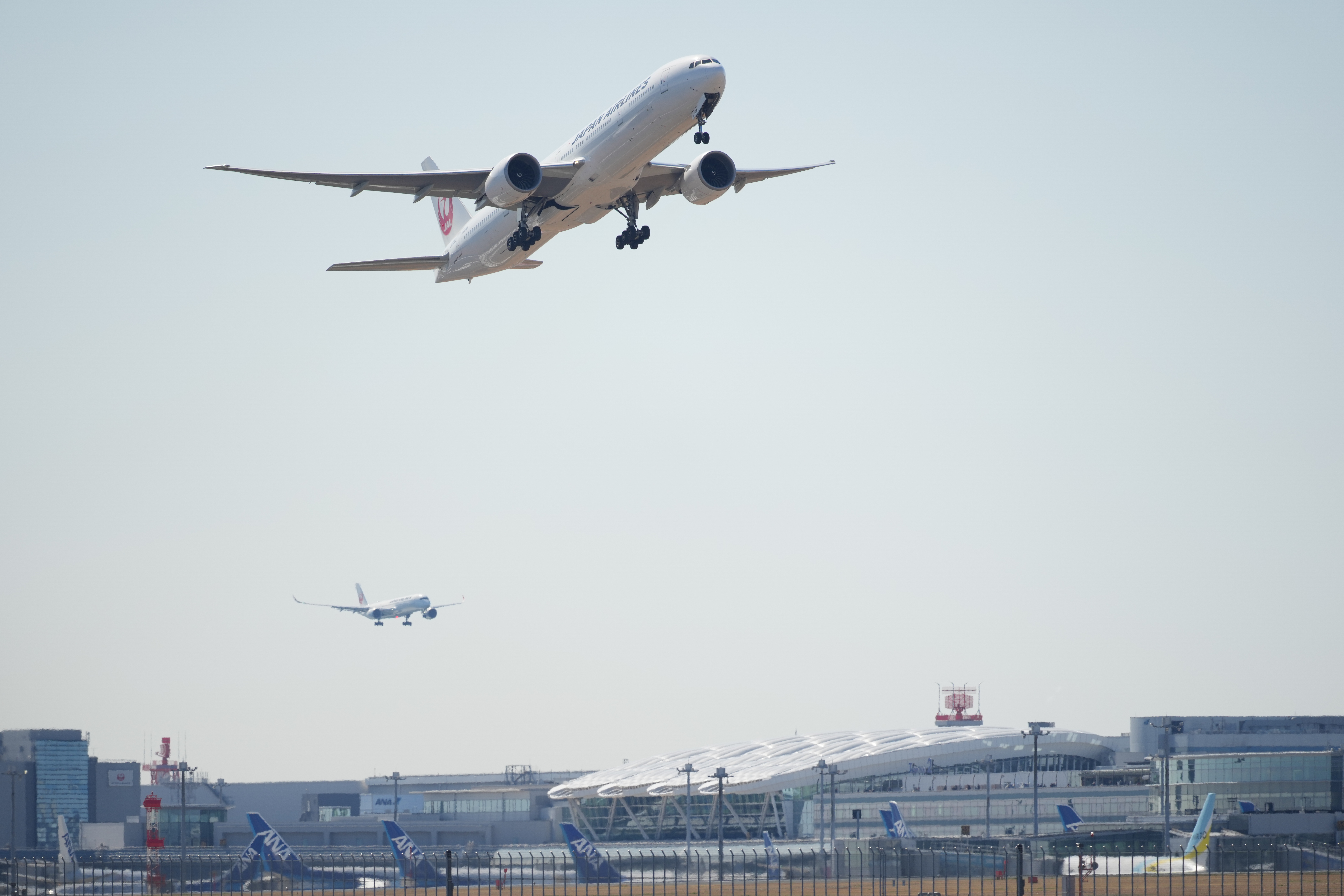 α1／SIGMA 500mm F5.6 DG DN OS | Sports／500mm／マニュアル露出（1/1,600秒、F5.6）／ISO 250／WB：オート