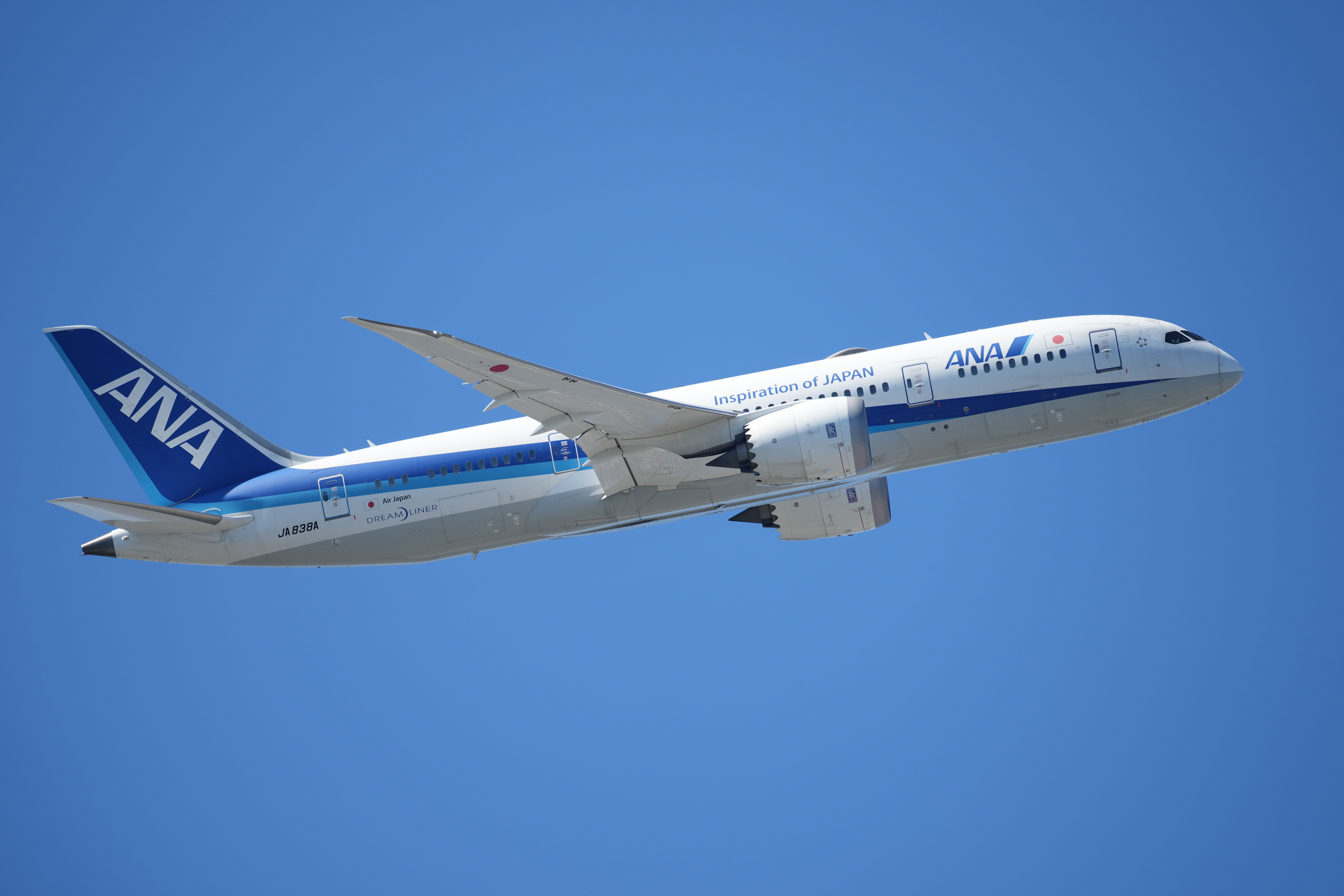 α1／SIGMA 500mm F5.6 DG DN OS | Sports／500mm／絞り優先露出（1/500秒、F5.6）＋0.7EV／ISO 100／WB：オート