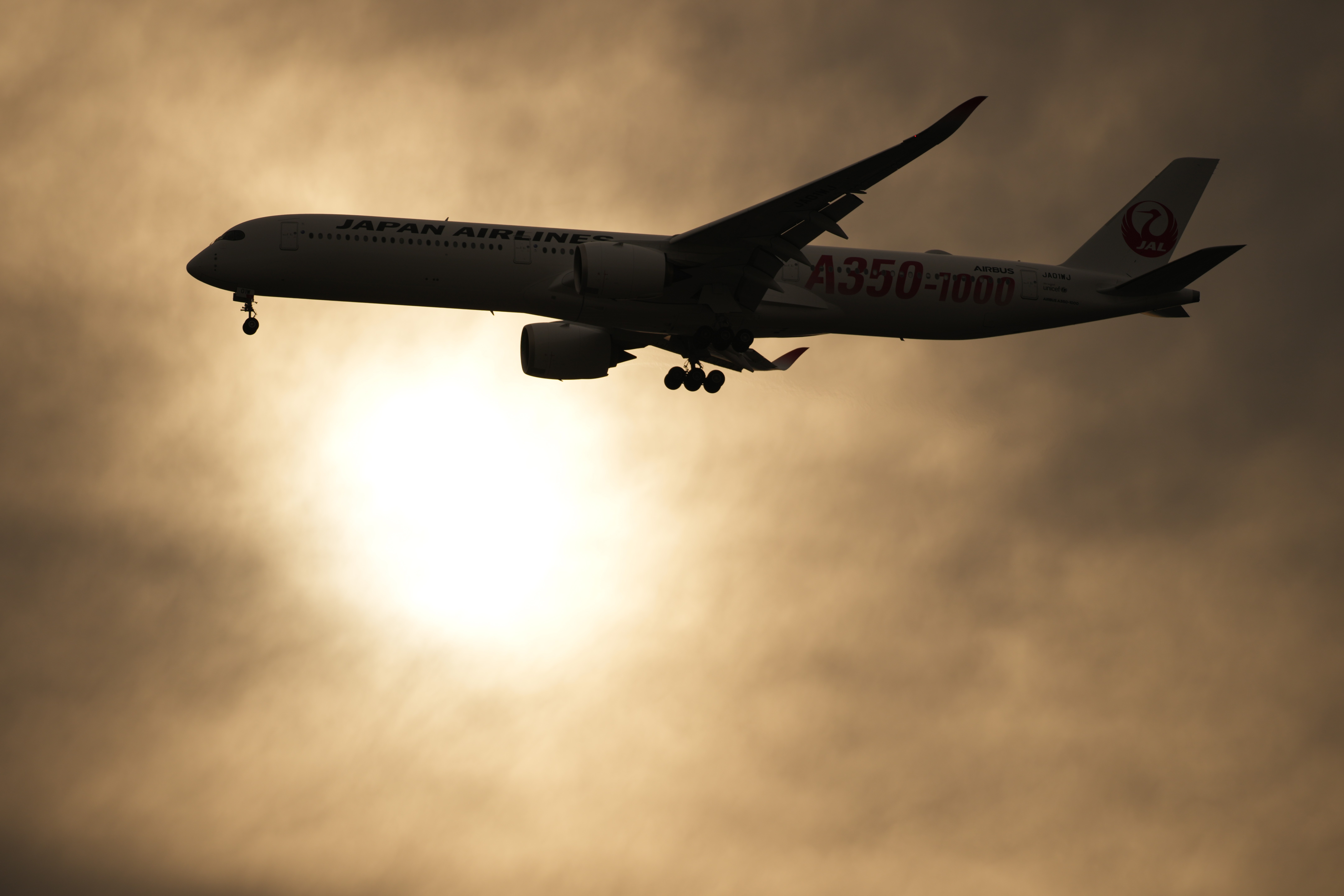 α1／SIGMA 500mm F5.6 DG DN OS | Sports／500mm／マニュアル露出（1/2,500秒、F5.6）／ISO 100／WB：日陰