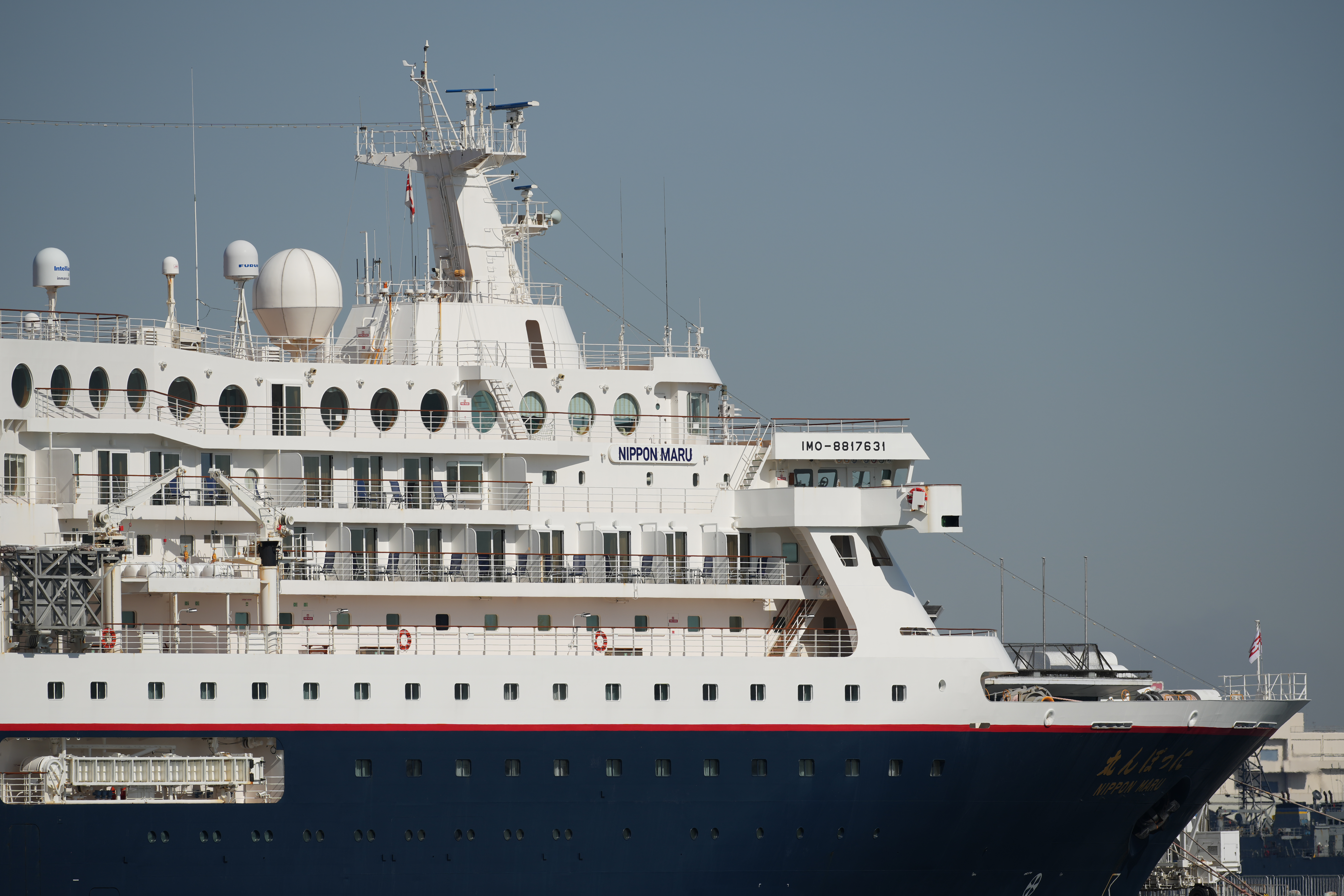 α1／SIGMA 500mm F5.6 DG DN OS | Sports／500mm／絞り優先露出（1/800秒、F8）／ISO 100／WB：水中オート