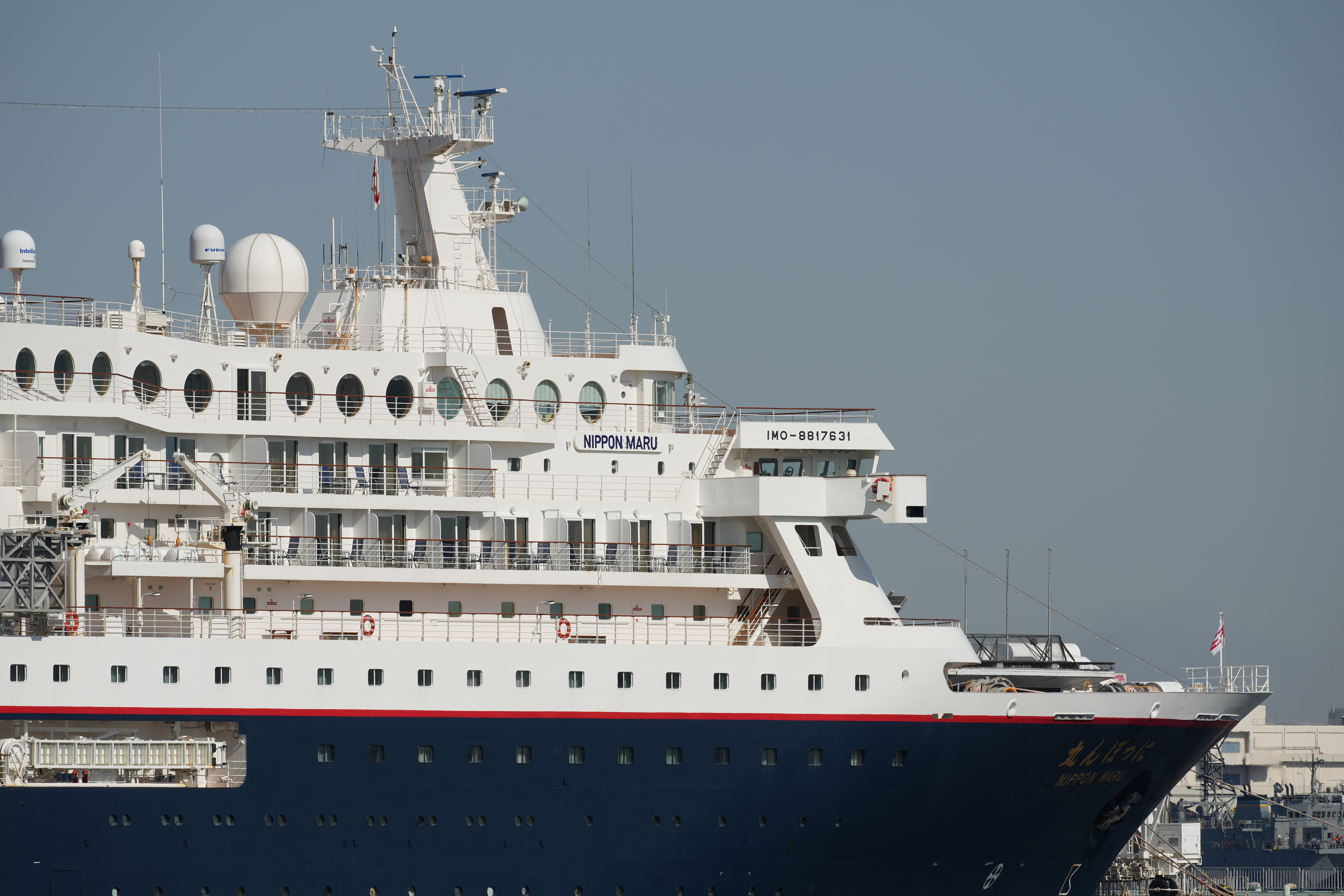 α1／SIGMA 500mm F5.6 DG DN OS | Sports／500mm／絞り優先露出（1/400秒、F11）／ISO 100／WB：水中オート