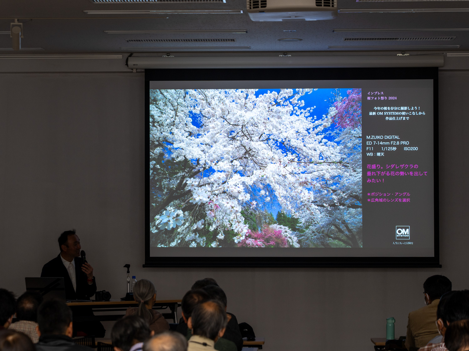 桜の撮影はタイミングも重要