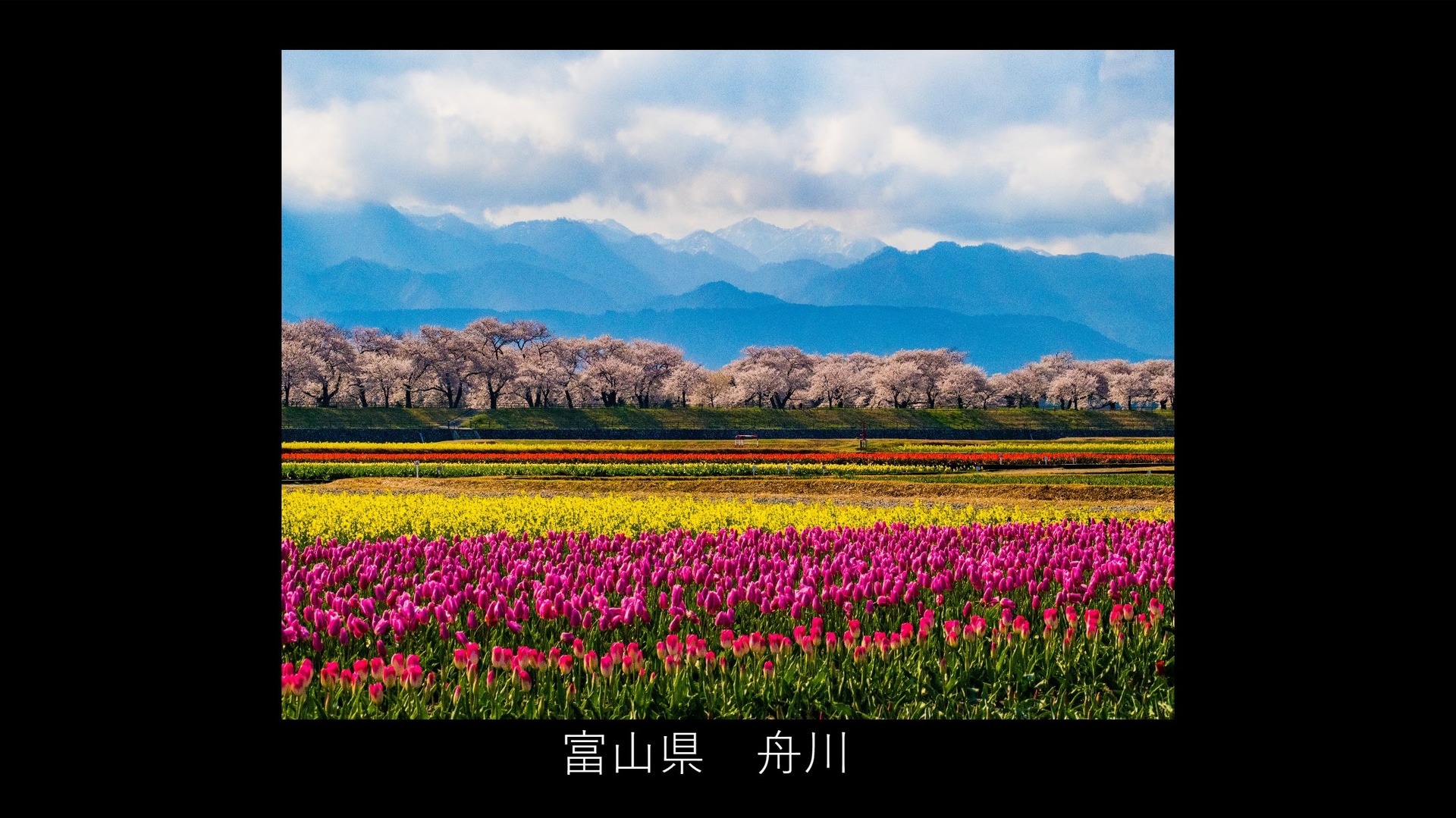 撮影地の情報集めをしっかり行なうことで「空振り」を防ぐ（撮影：安念余志子）