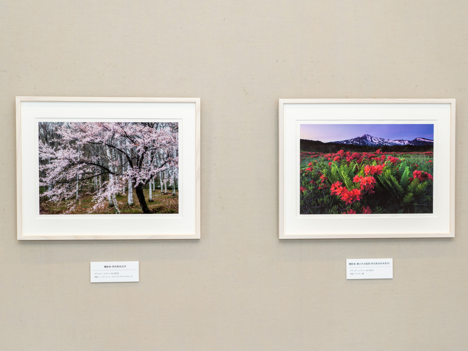 各作品のキャプションには使用した用紙を記載している