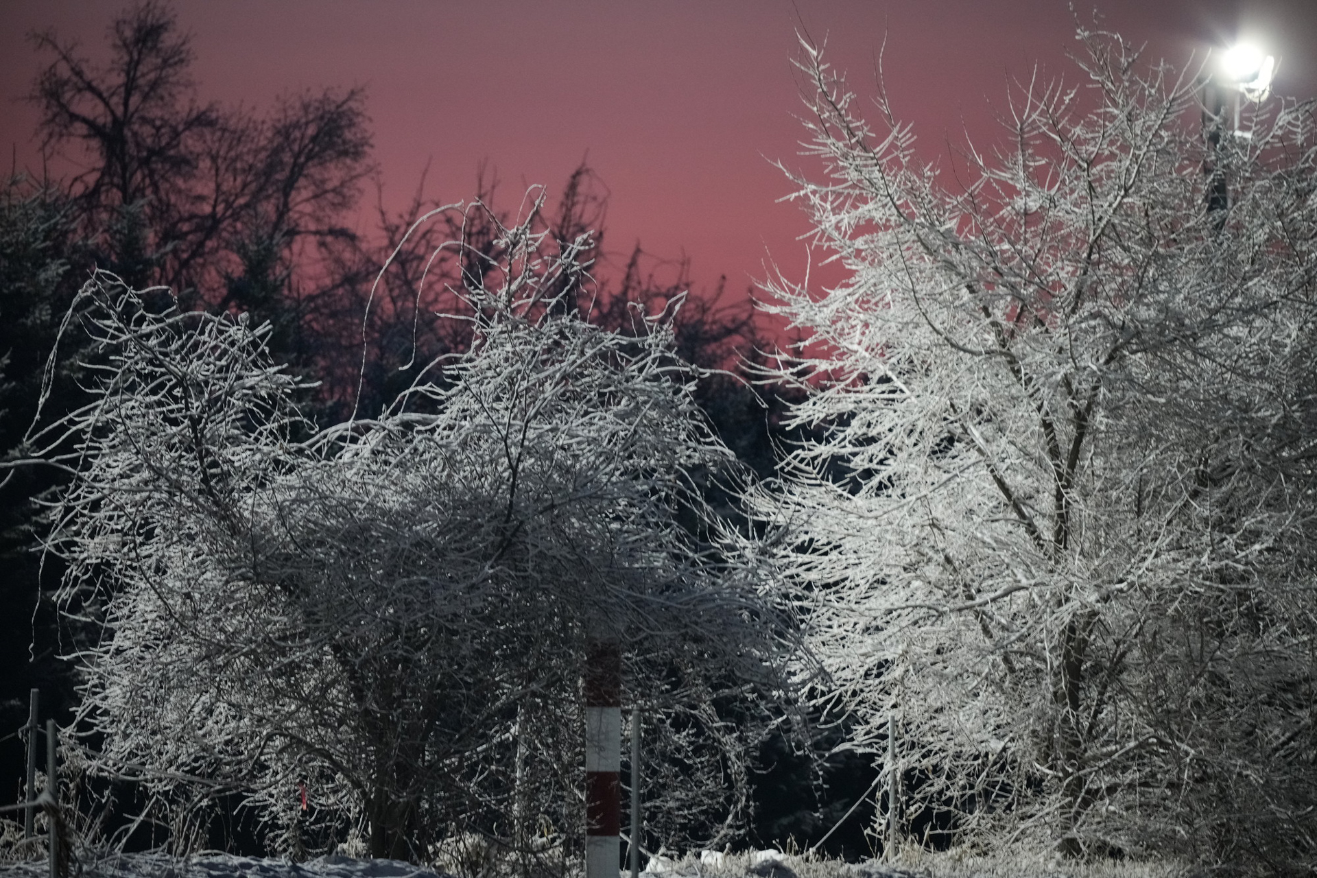 この樹氷を背景に馬を撮り、また新しい1枚が生まれた