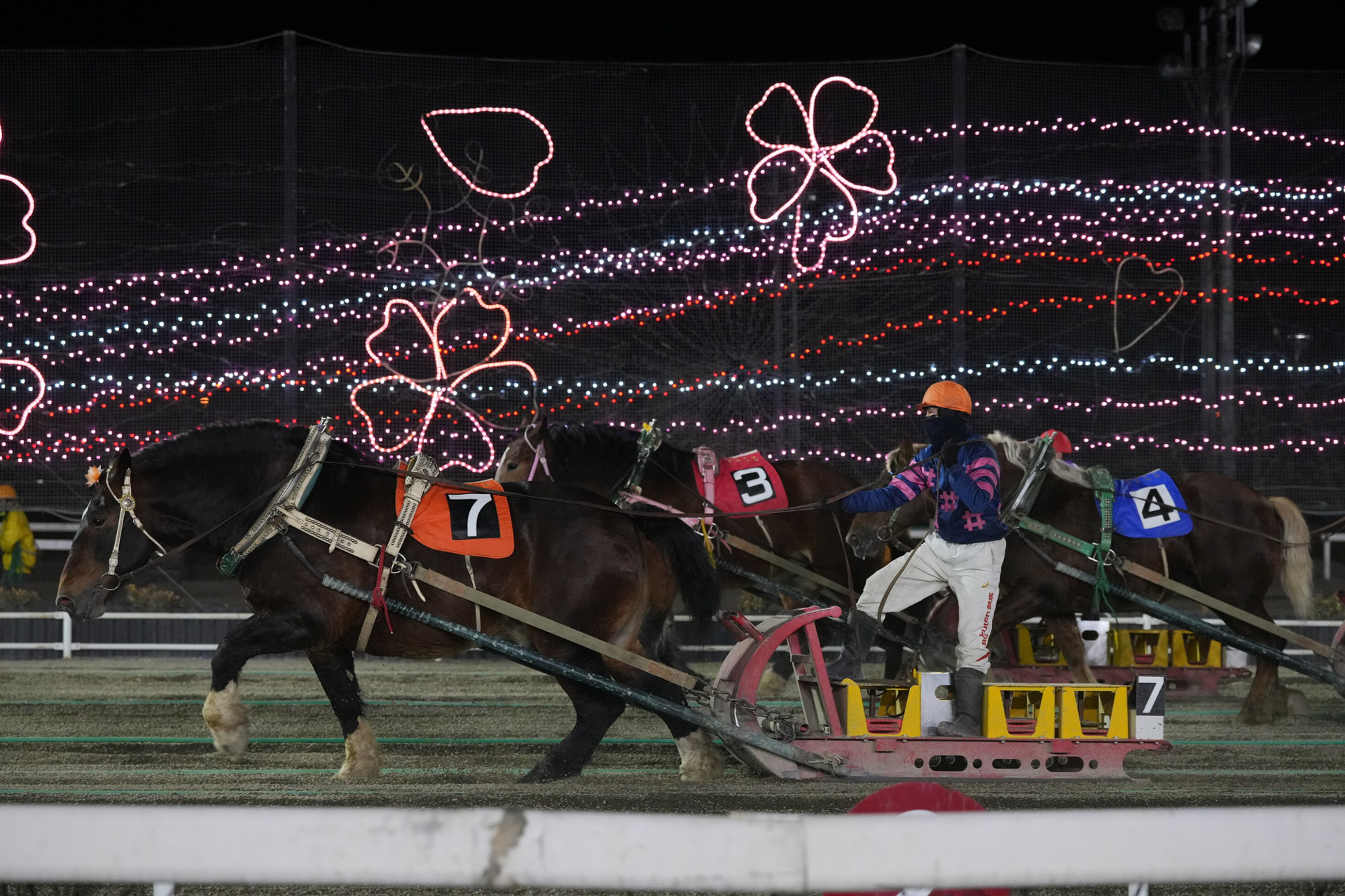 ソニーα1／ソニーFE 70-200mm F2.8 GM OSS II／マニュアル露出（F3.5・1/320秒）／ISO 4000／撮影・マッハ佐藤