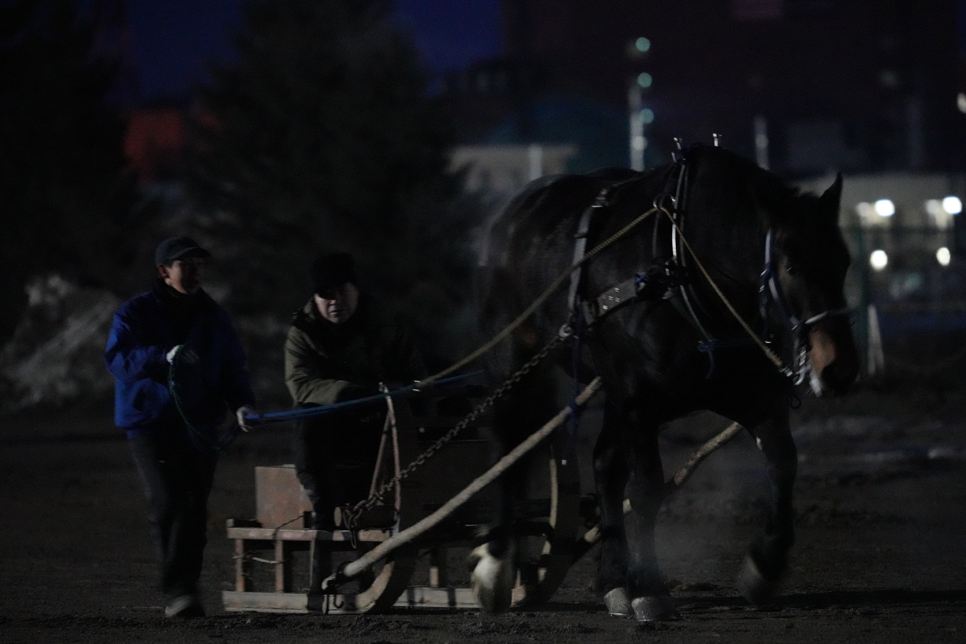 谷調教師がソリに乗せてくれて練習コースを1周