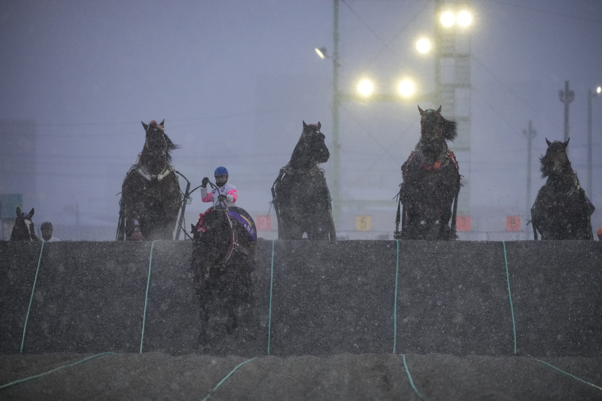 1着で第2障害を越えてくる鈴木騎手とメジロゴーリキの姿に高揚感が高まる。<br>ソニーα1／シグマ60-600mm F4.5-6.3 DG DN OS｜Sports 023／絞り優先AE（F6.3・1/200秒・-0.7EV）／ISO 2000
