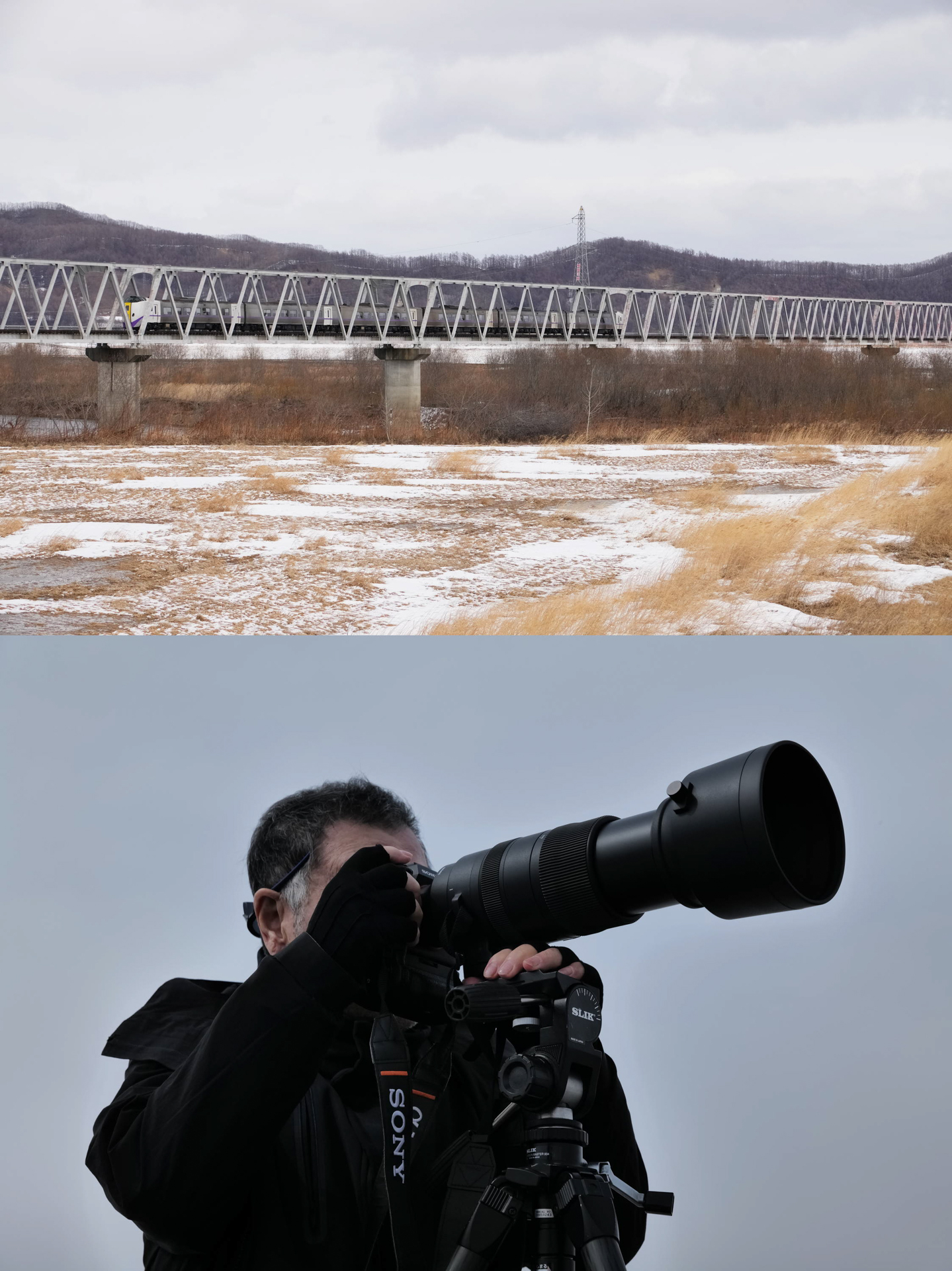 釧路へ向かう特急おおぞらを追う<br>ソニーα1／シグマ60-600mm F4.5-6.3 DG DN OS｜Sports／絞り優先AE（F8・1/3,200秒・＋0.7EV）／ISO 1000