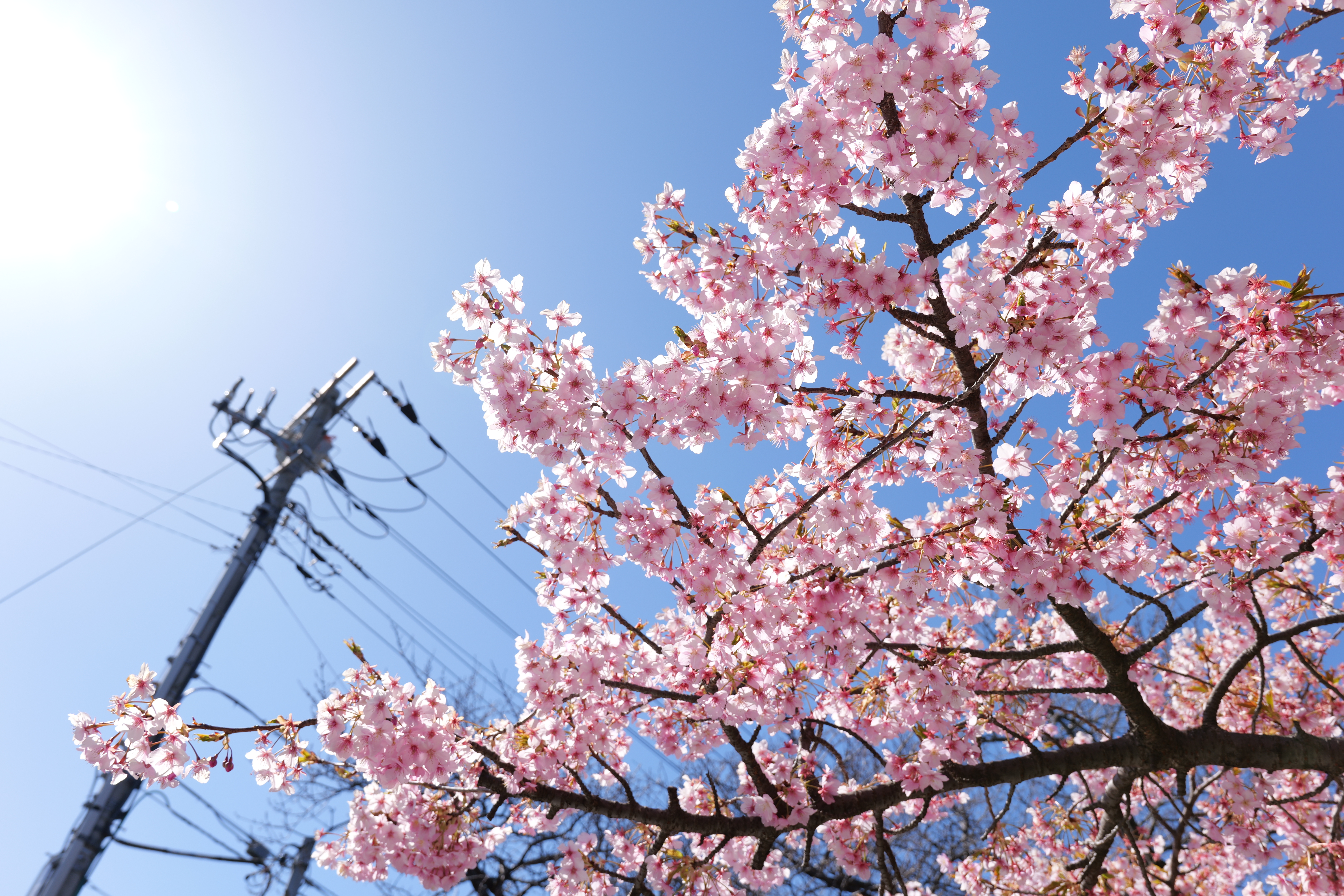 LUMIX S5II／LUMIX S 28-200mm F4-7.1 MACRO O.I.S／28mm／絞り優先AE（1/160秒、F8.0、＋1.3EV）／ISO 500