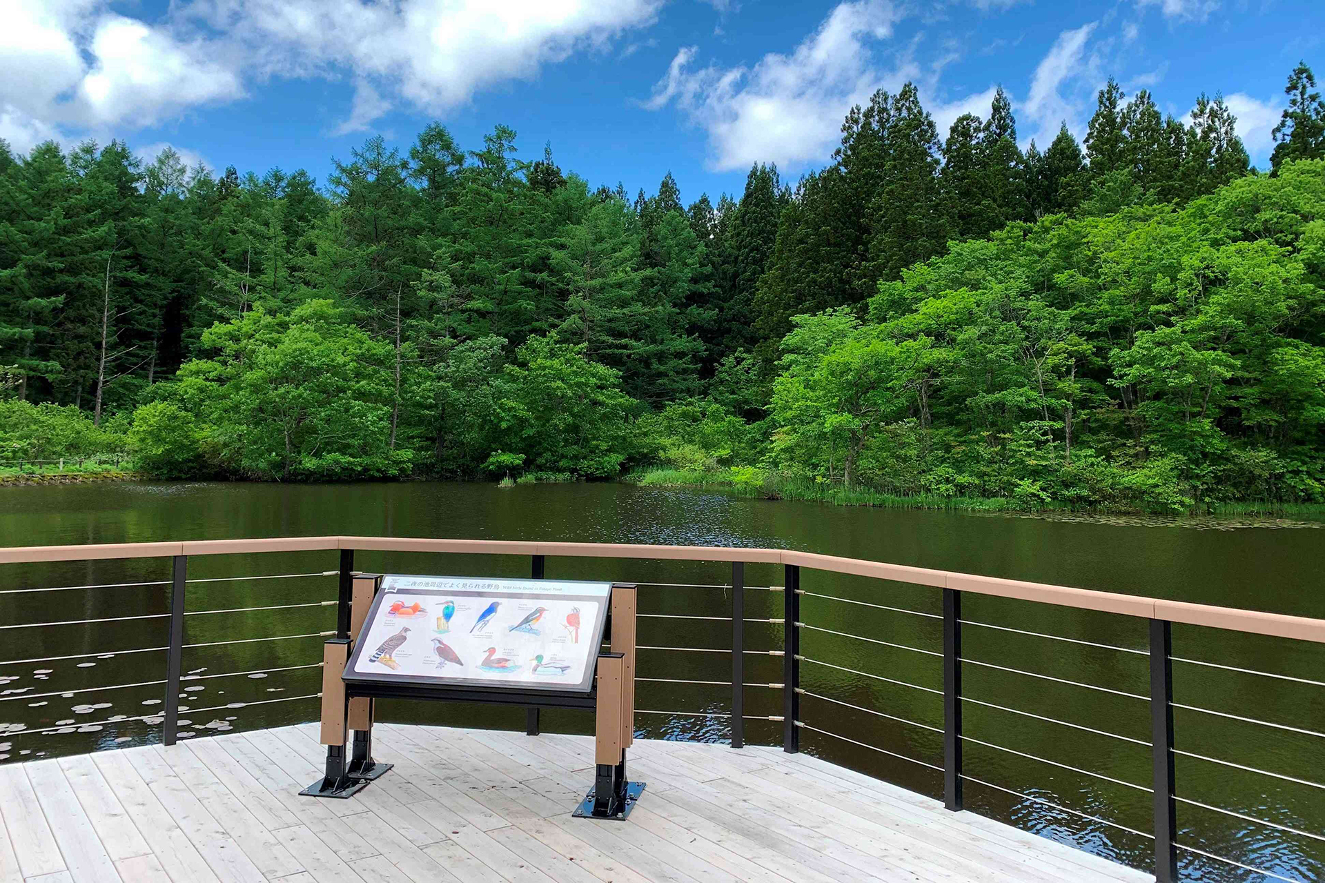 アカショウビンに遭遇できる確率が高いという二夜の池（ふたよのいけ）